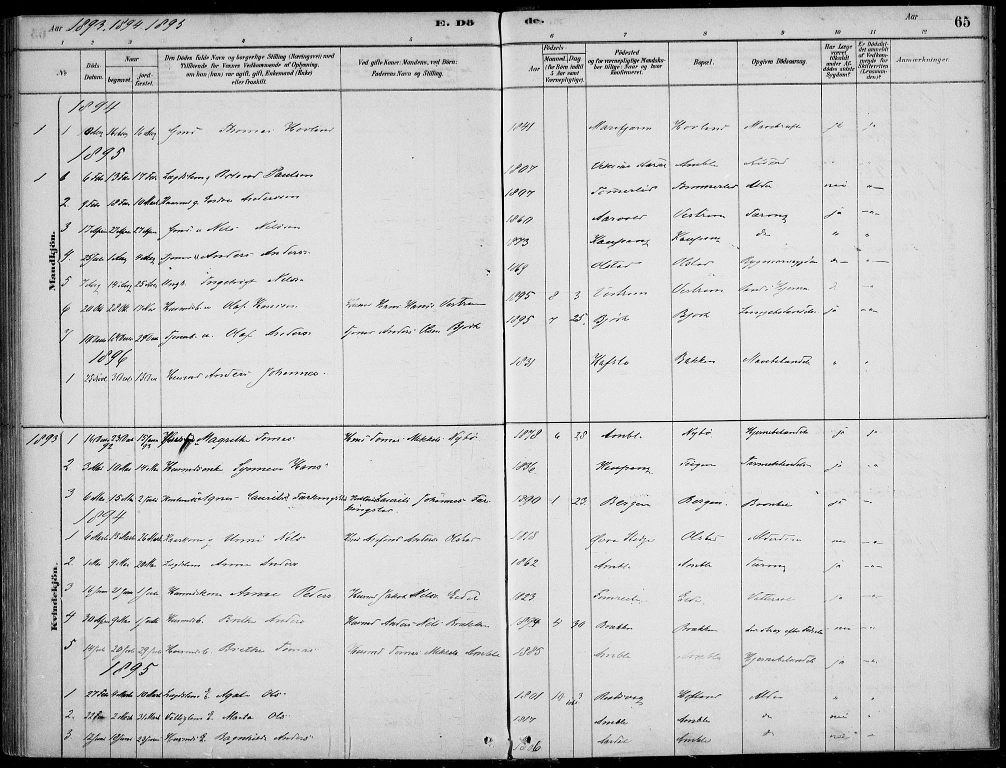 Sogndal sokneprestembete, SAB/A-81301/H/Haa/Haad/L0001: Parish register (official) no. D  1, 1878-1907, p. 65