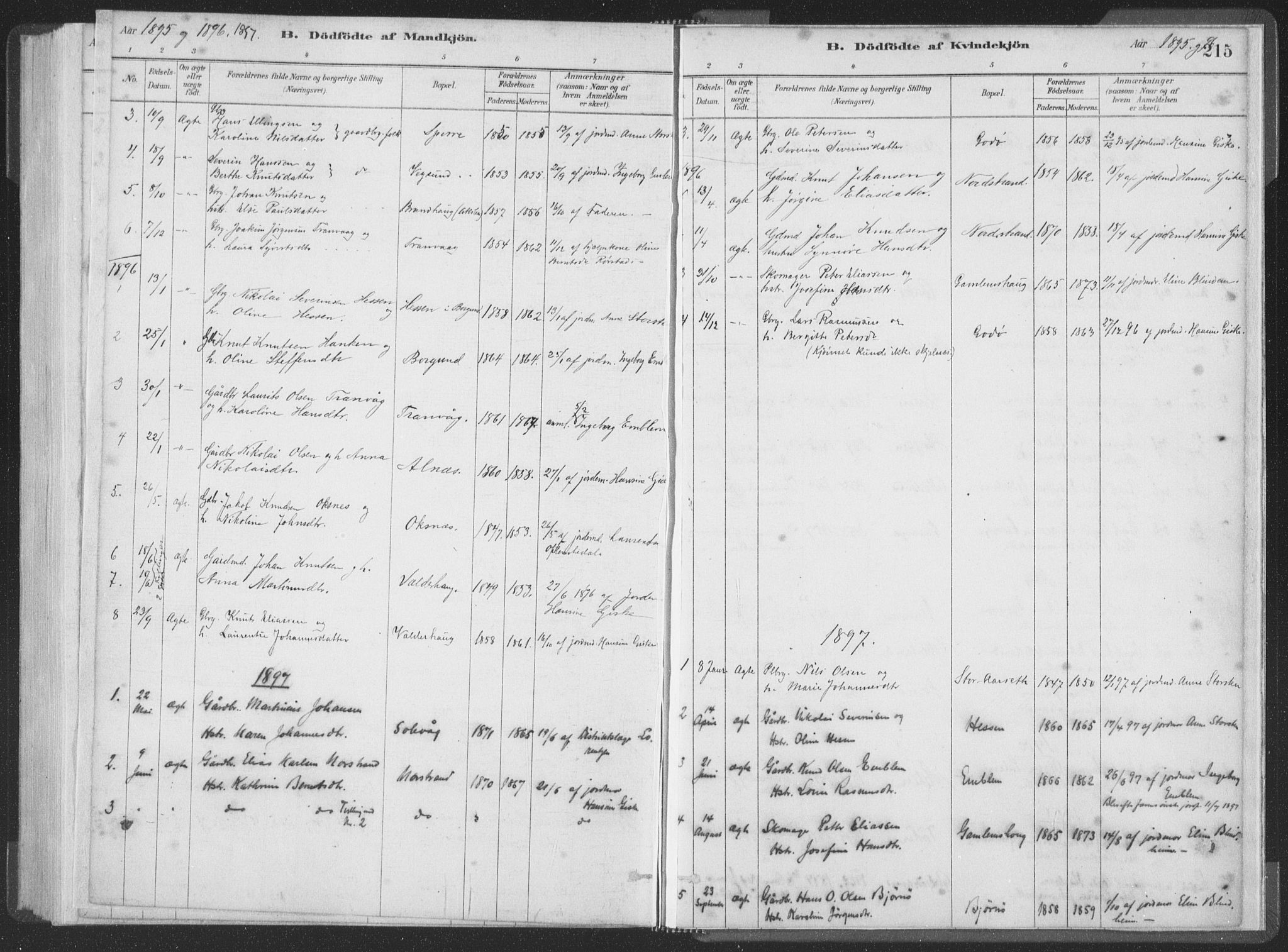 Ministerialprotokoller, klokkerbøker og fødselsregistre - Møre og Romsdal, AV/SAT-A-1454/528/L0401: Parish register (official) no. 528A12I, 1880-1920, p. 215