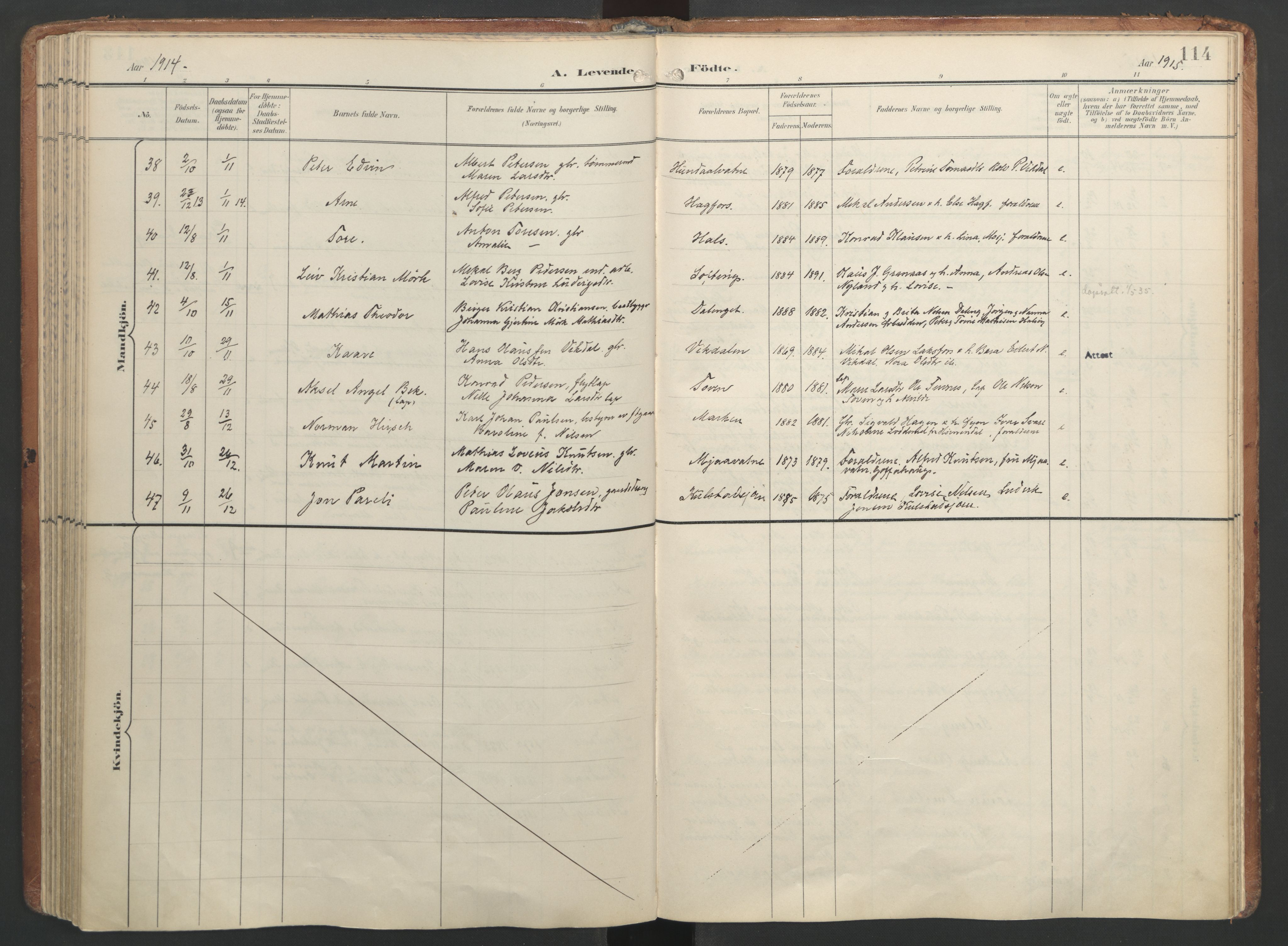 Ministerialprotokoller, klokkerbøker og fødselsregistre - Nordland, AV/SAT-A-1459/820/L0297: Parish register (official) no. 820A18, 1897-1917, p. 114