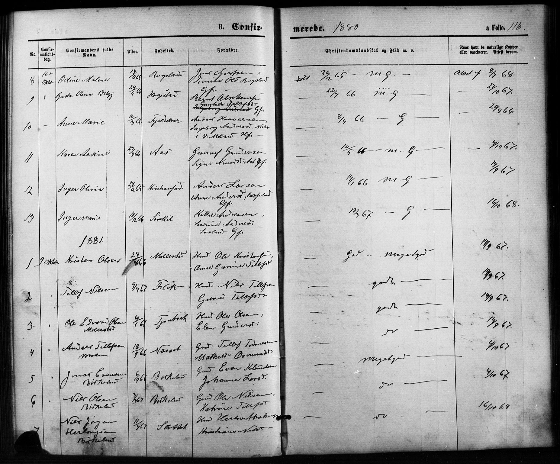 Birkenes sokneprestkontor, SAK/1111-0004/F/Fb/L0003: Parish register (copy) no. B 3, 1876-1892, p. 116
