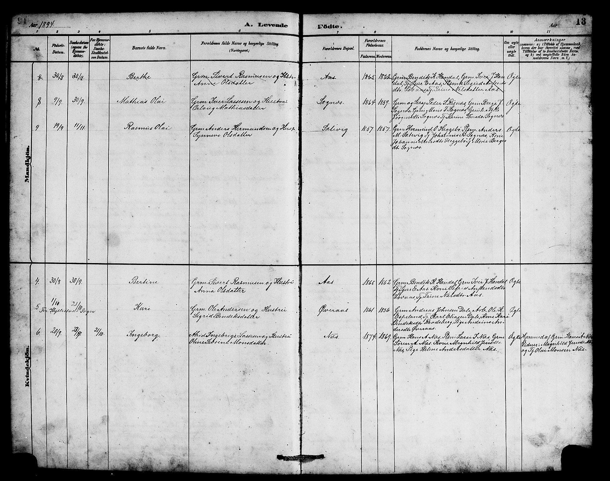 Hyllestad sokneprestembete, SAB/A-80401: Parish register (copy) no. B 2, 1889-1915, p. 13