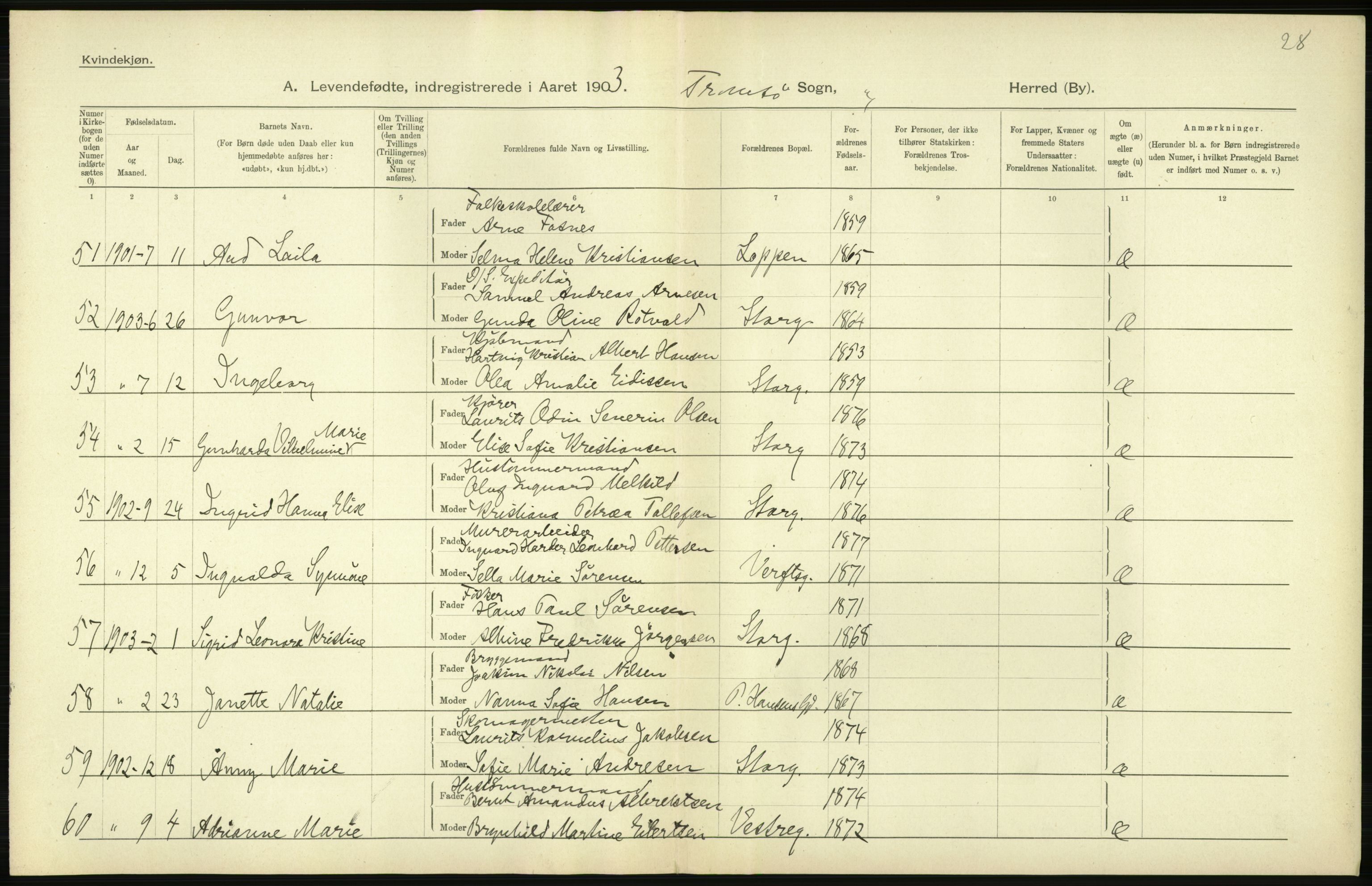 Statistisk sentralbyrå, Sosiodemografiske emner, Befolkning, AV/RA-S-2228/D/Df/Dfa/Dfaa/L0021: Tromsø amt: Fødte, gifte, døde., 1903, p. 288