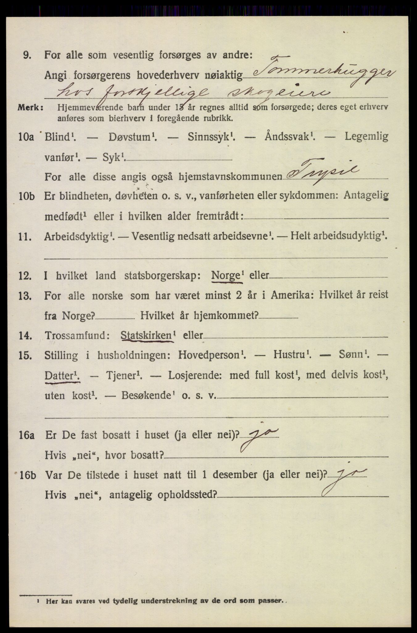 SAH, 1920 census for Trysil, 1920, p. 8810