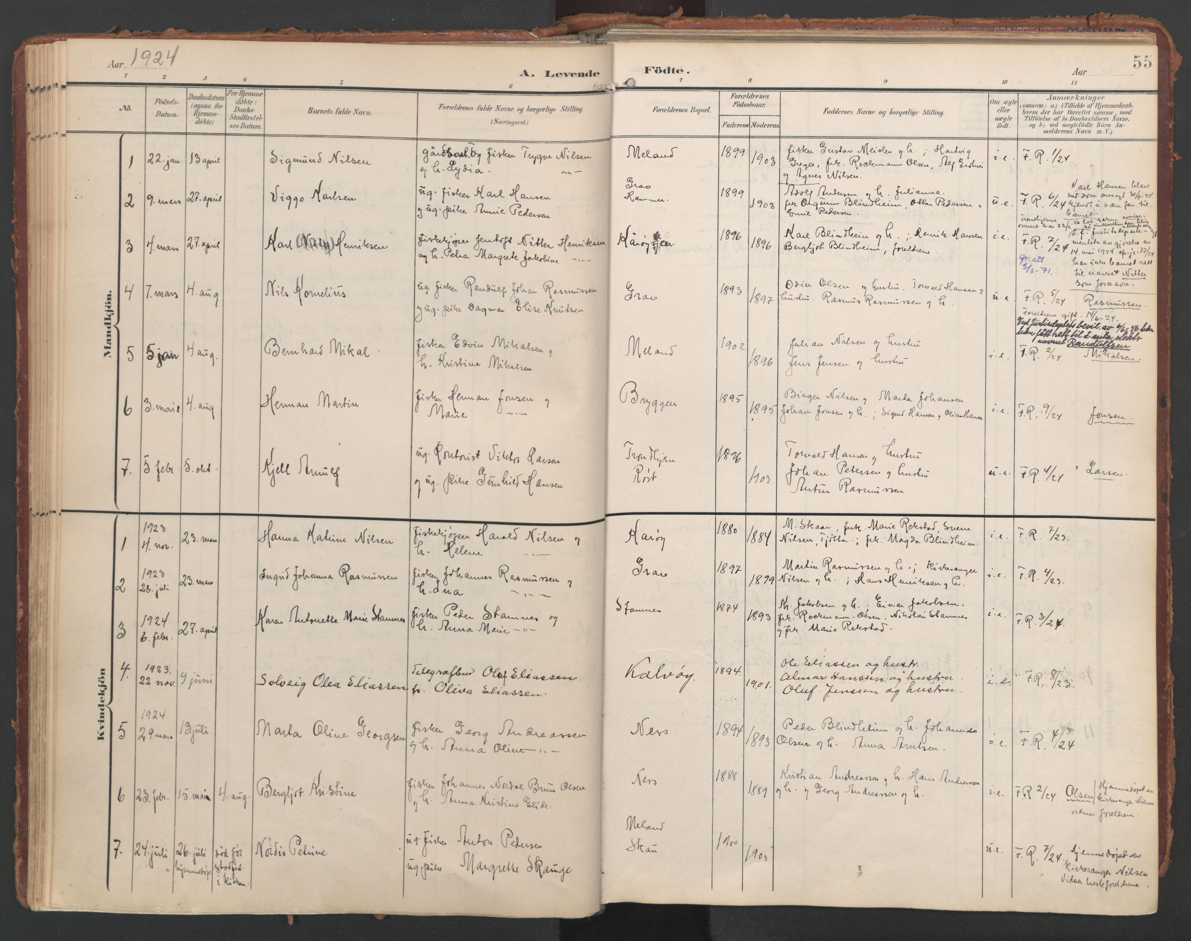 Ministerialprotokoller, klokkerbøker og fødselsregistre - Nordland, AV/SAT-A-1459/808/L0129: Parish register (official) no. 808A02, 1903-1931, p. 55