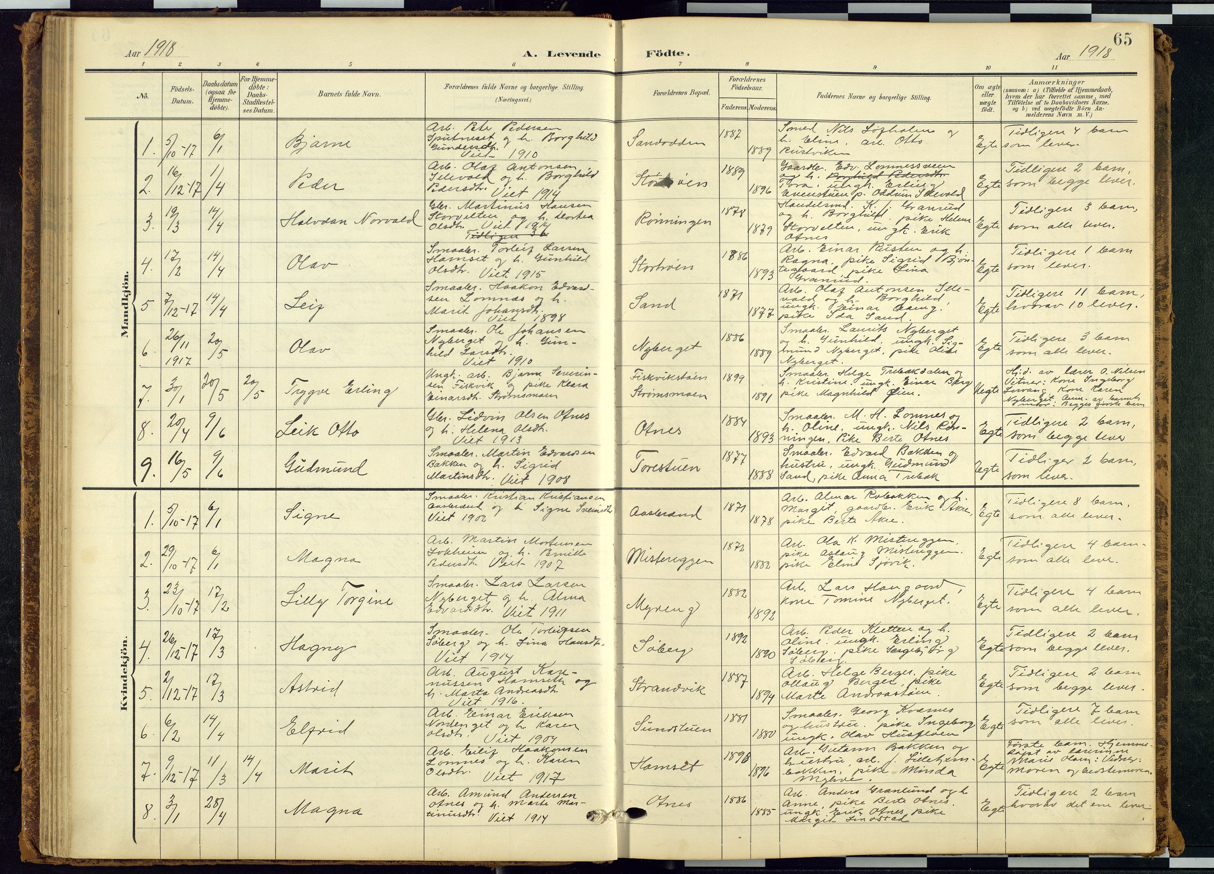 Rendalen prestekontor, SAH/PREST-054/H/Ha/Hab/L0010: Parish register (copy) no. 10, 1903-1940, p. 65