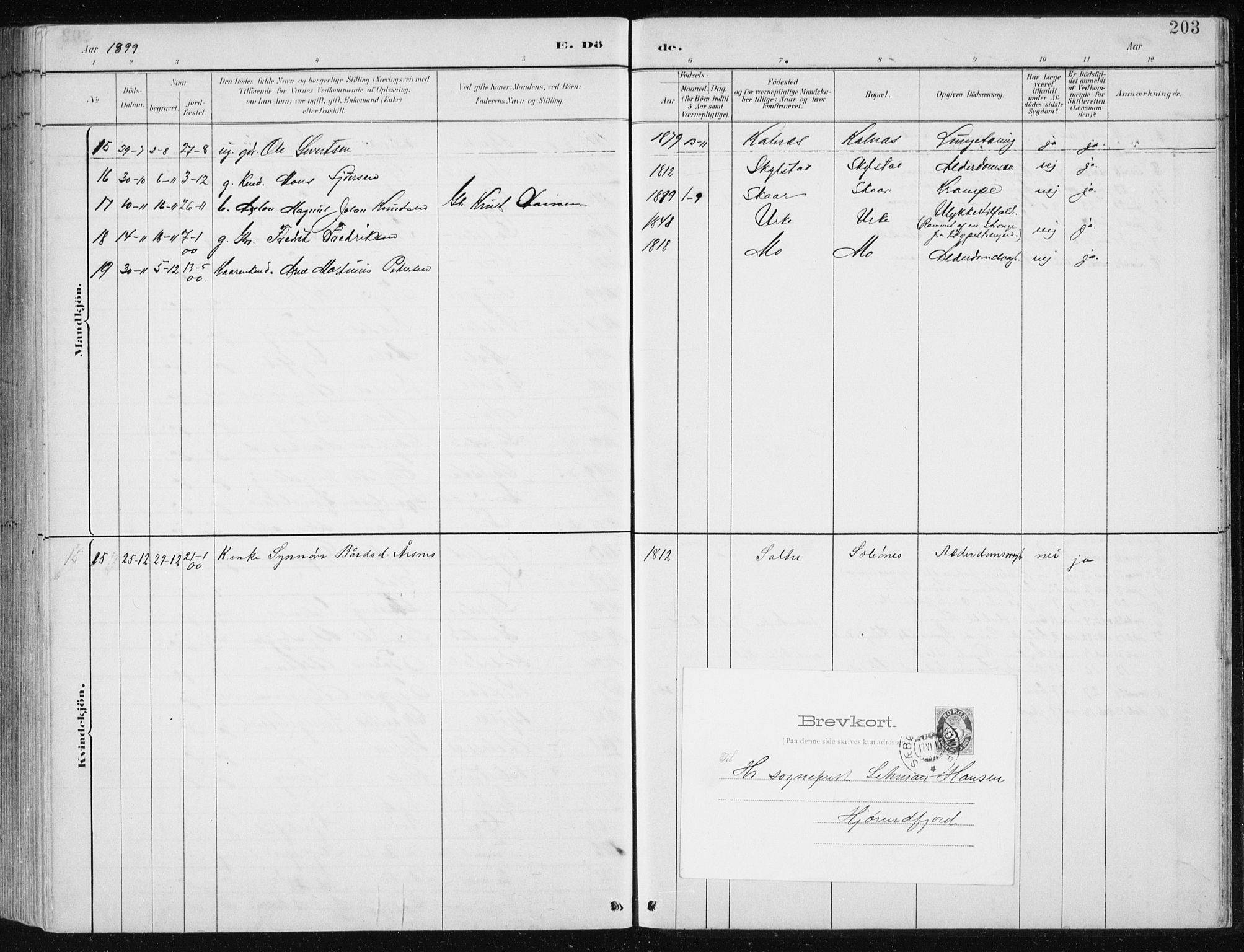 Ministerialprotokoller, klokkerbøker og fødselsregistre - Møre og Romsdal, AV/SAT-A-1454/515/L0215: Parish register (copy) no. 515C02, 1884-1906, p. 203