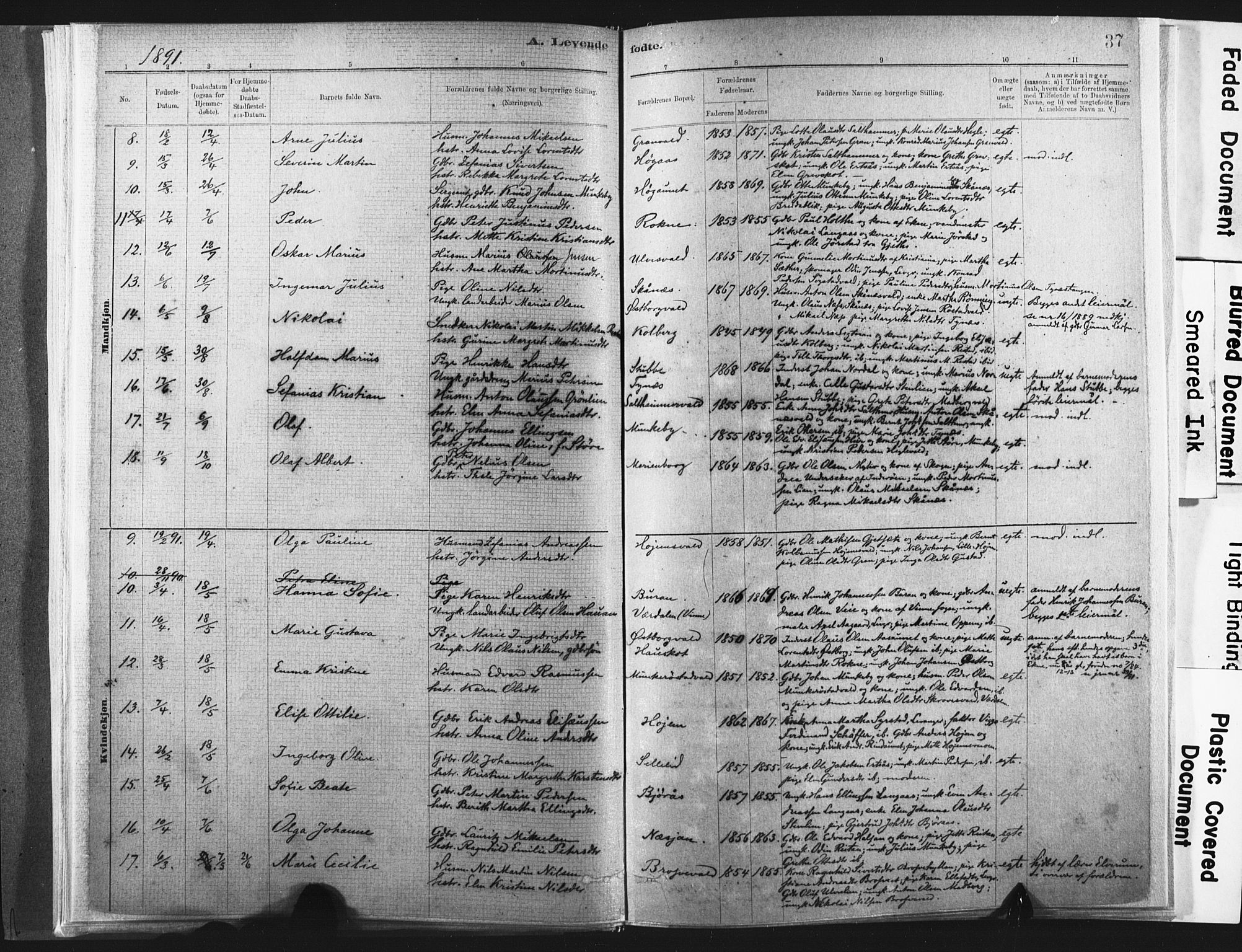 Ministerialprotokoller, klokkerbøker og fødselsregistre - Nord-Trøndelag, SAT/A-1458/721/L0207: Parish register (official) no. 721A02, 1880-1911, p. 37