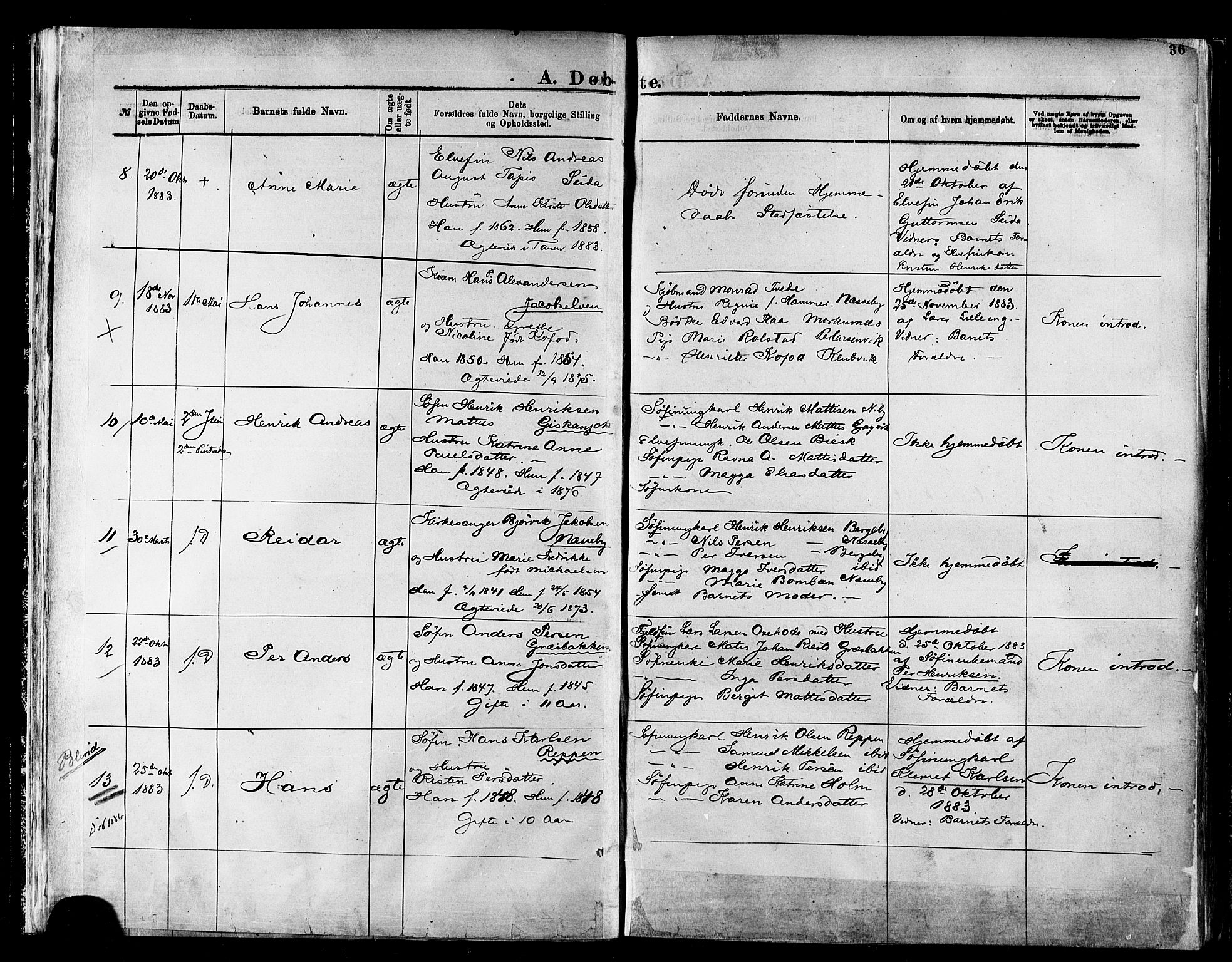 Nesseby sokneprestkontor, AV/SATØ-S-1330/H/Ha/L0004kirke: Parish register (official) no. 4, 1877-1884, p. 36