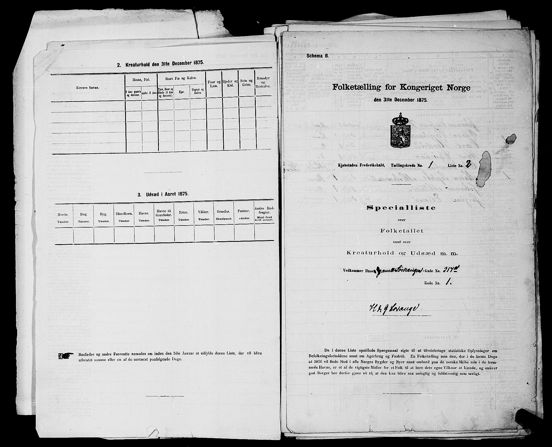 RA, 1875 census for 0101P Fredrikshald, 1875, p. 14