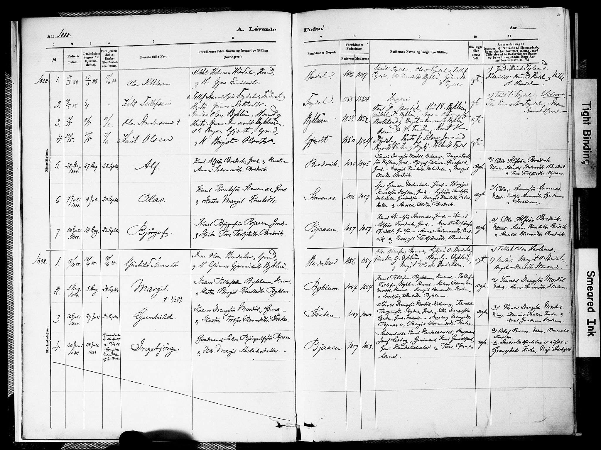 Valle sokneprestkontor, SAK/1111-0044/F/Fa/Faa/L0001: Parish register (official) no. A 1, 1882-1907, p. 10