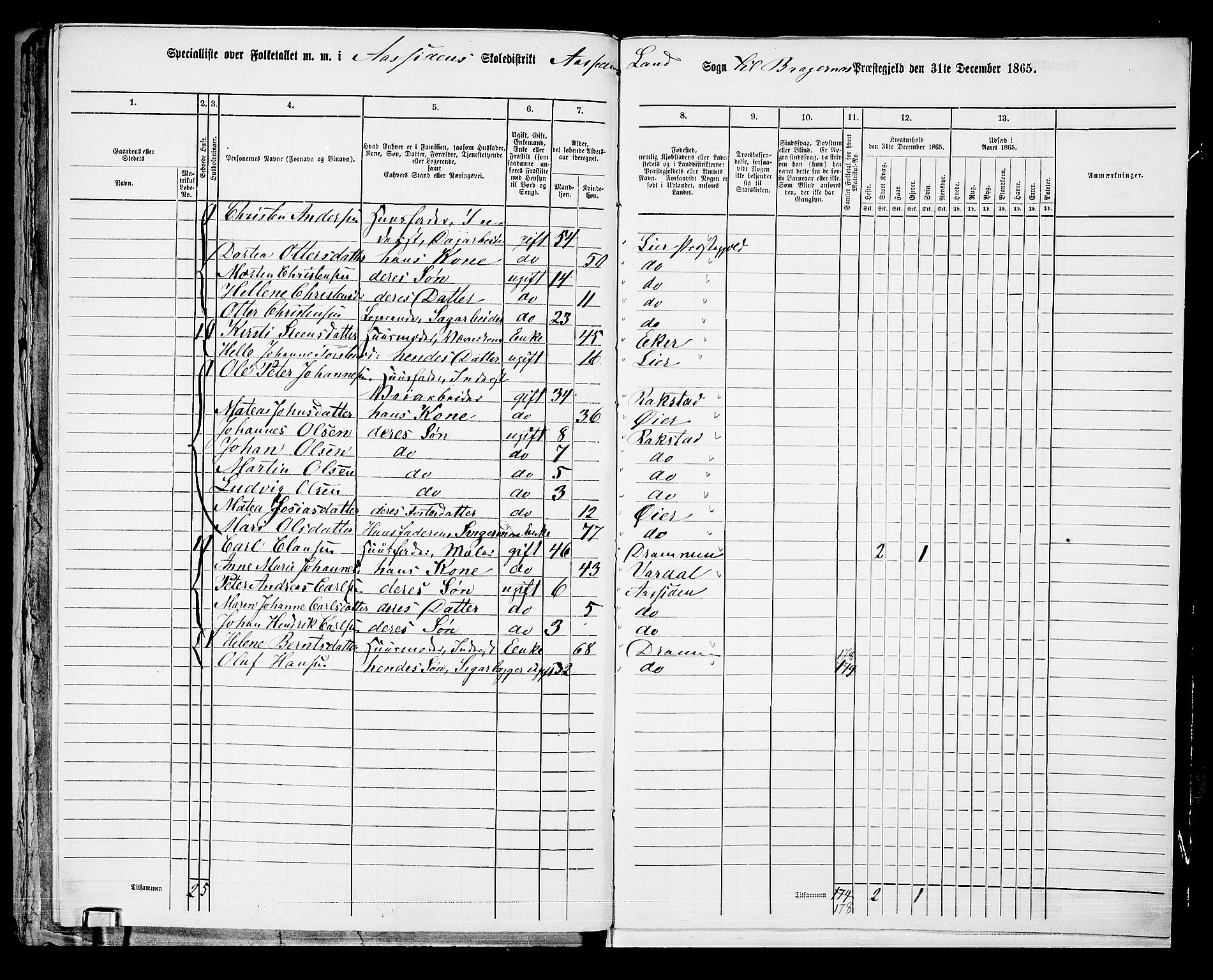 RA, 1865 census for Bragernes/Åssiden, 1865, p. 41