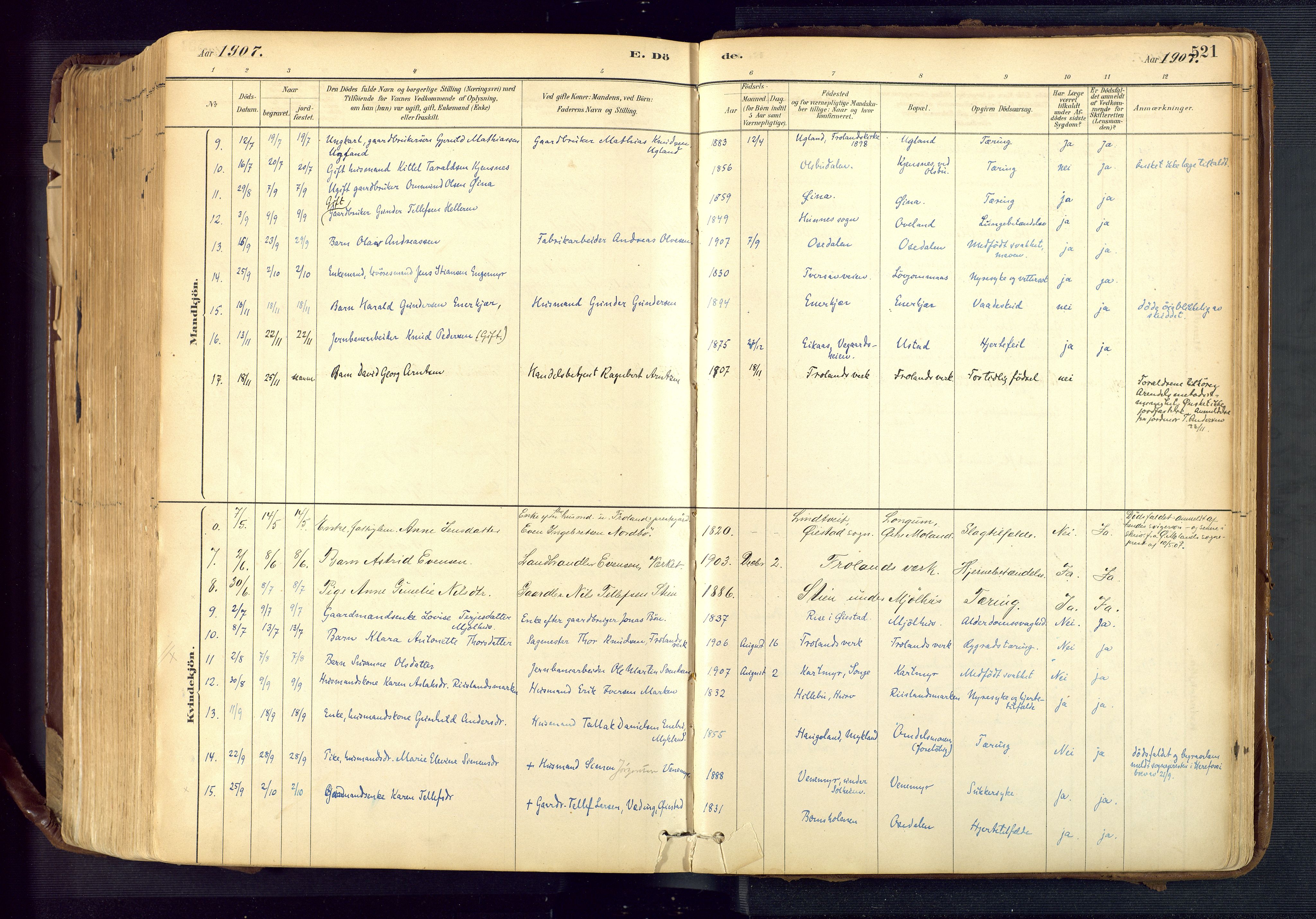 Froland sokneprestkontor, SAK/1111-0013/F/Fa/L0005: Parish register (official) no. A 5, 1882-1921, p. 521