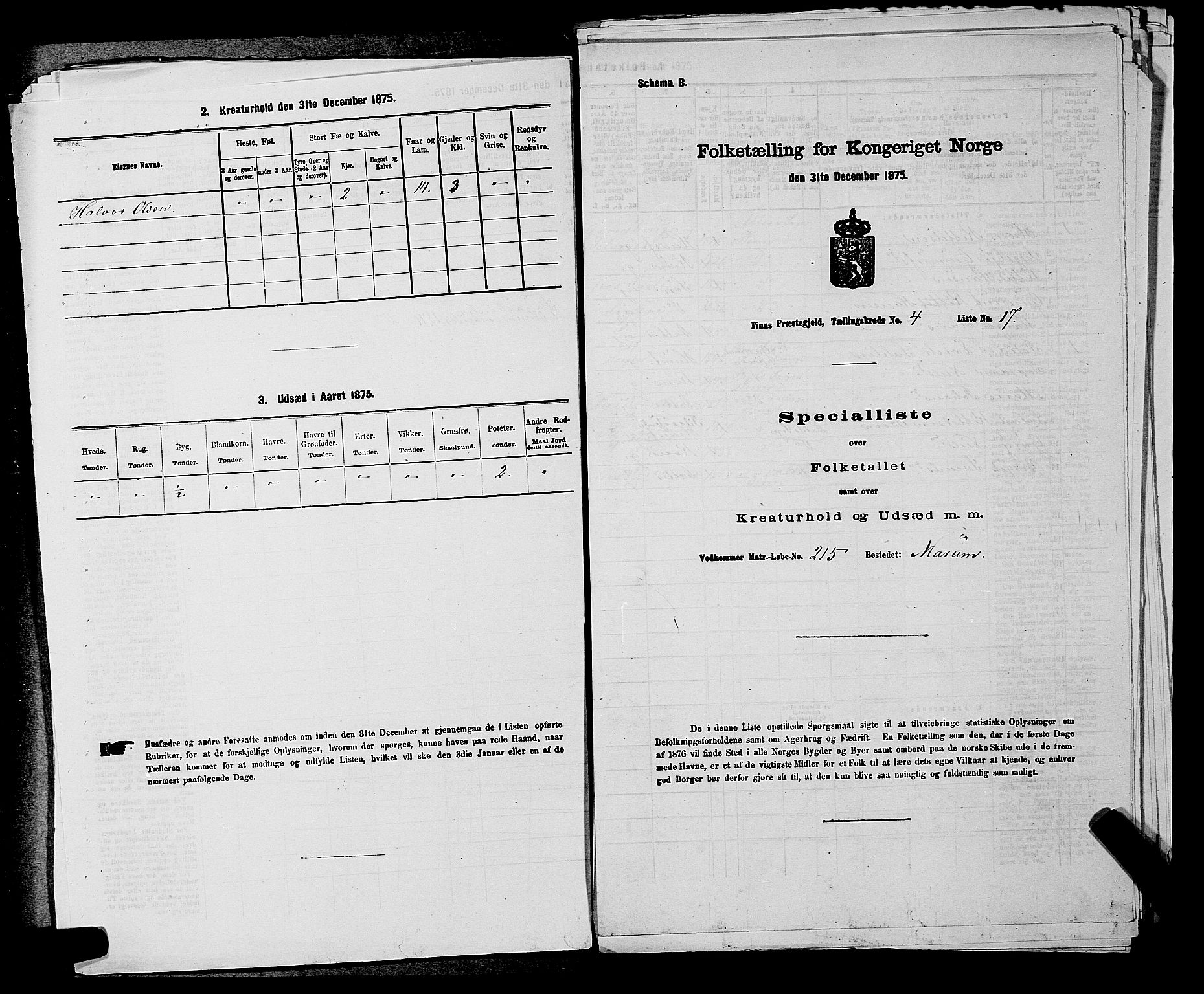 SAKO, 1875 census for 0826P Tinn, 1875, p. 492