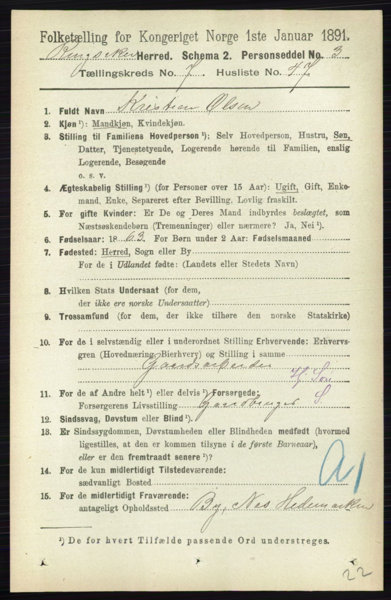 RA, 1891 census for 0412 Ringsaker, 1891, p. 4213