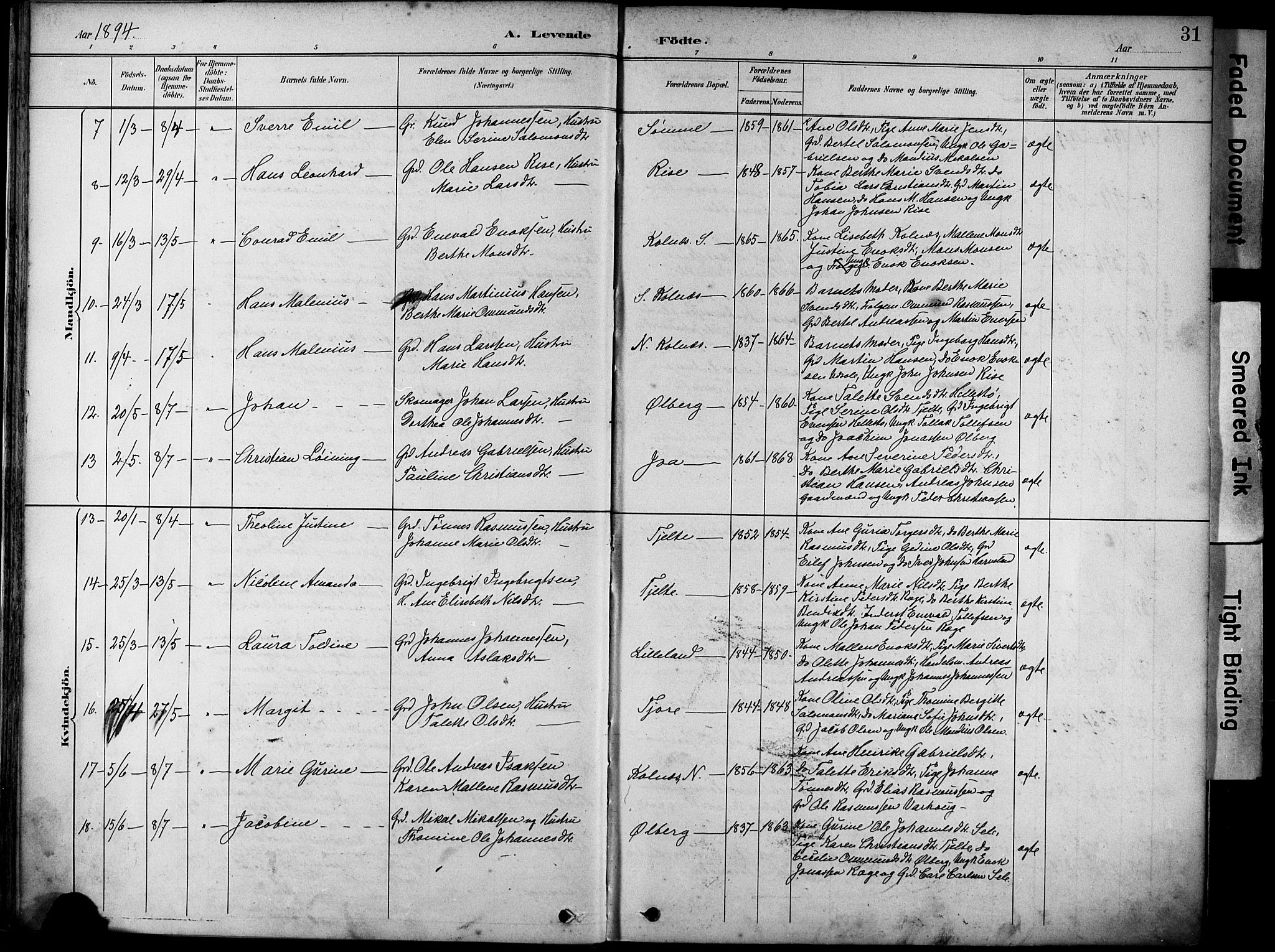 Håland sokneprestkontor, AV/SAST-A-101802/001/30BA/L0012: Parish register (official) no. A 11, 1889-1900, p. 31