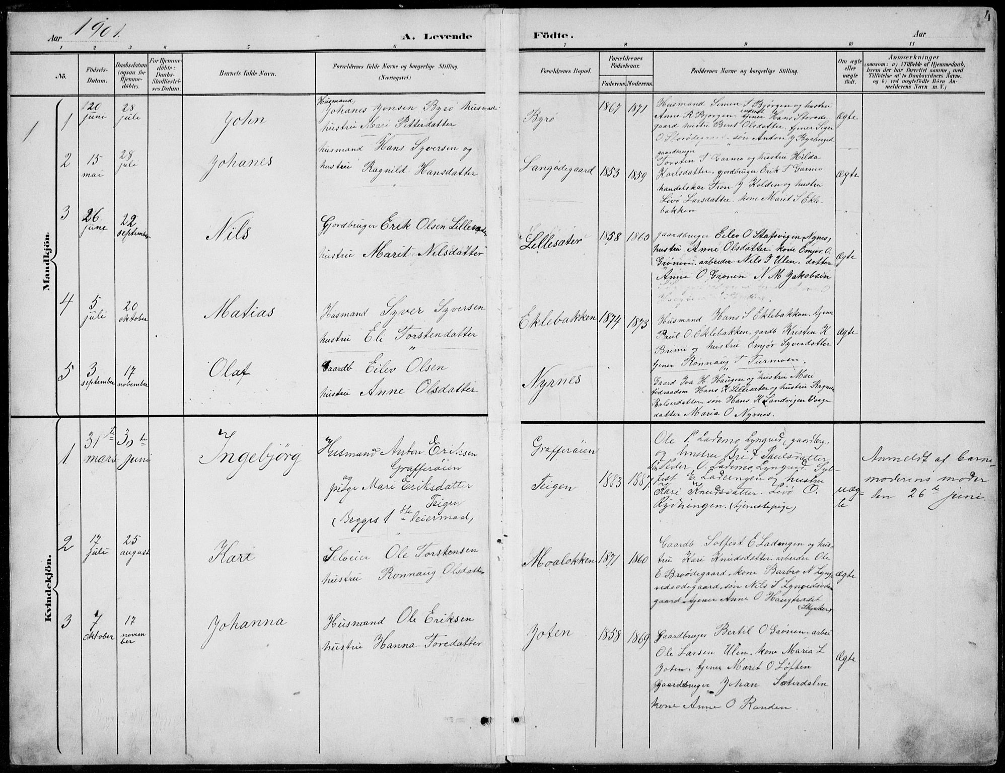 Lom prestekontor, AV/SAH-PREST-070/L/L0006: Parish register (copy) no. 6, 1901-1939, p. 4