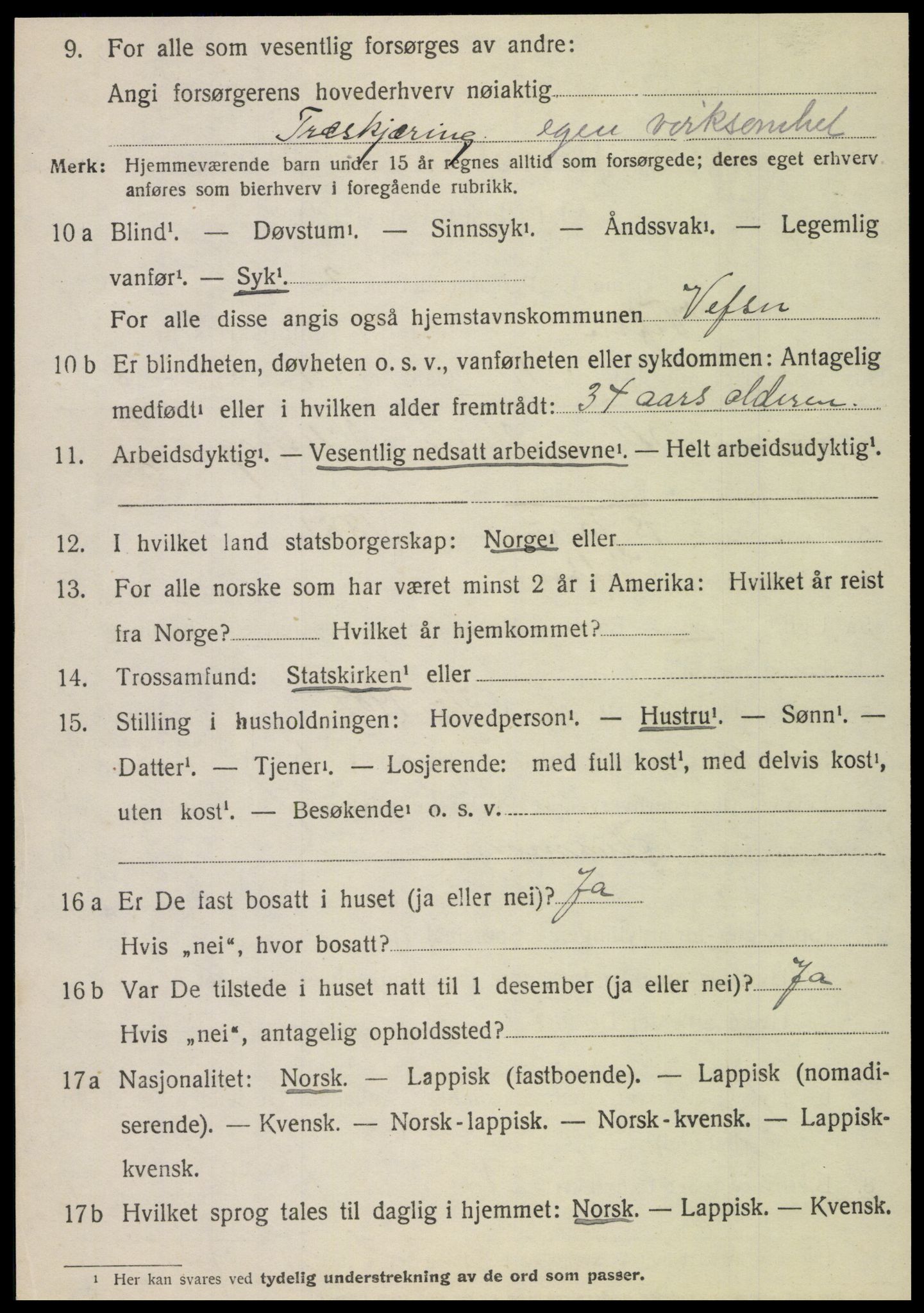 SAT, 1920 census for Vefsn, 1920, p. 10638