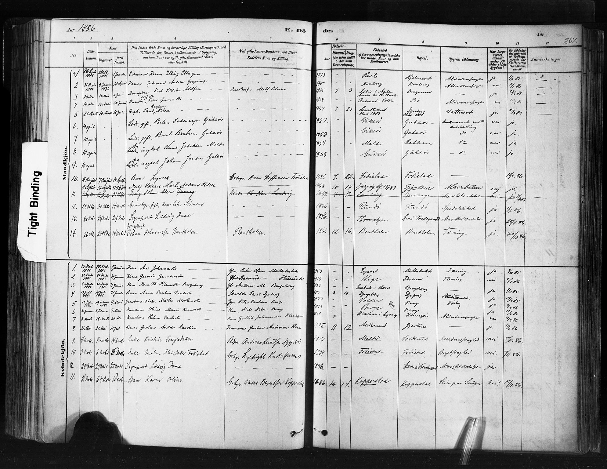 Ministerialprotokoller, klokkerbøker og fødselsregistre - Møre og Romsdal, AV/SAT-A-1454/507/L0073: Parish register (official) no. 507A08, 1878-1904, p. 264