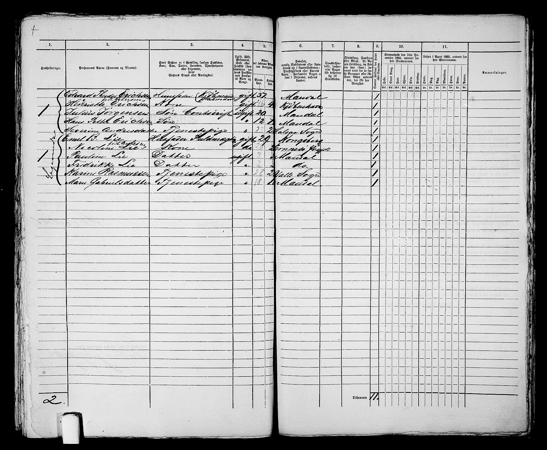 RA, 1865 census for Mandal/Mandal, 1865, p. 439