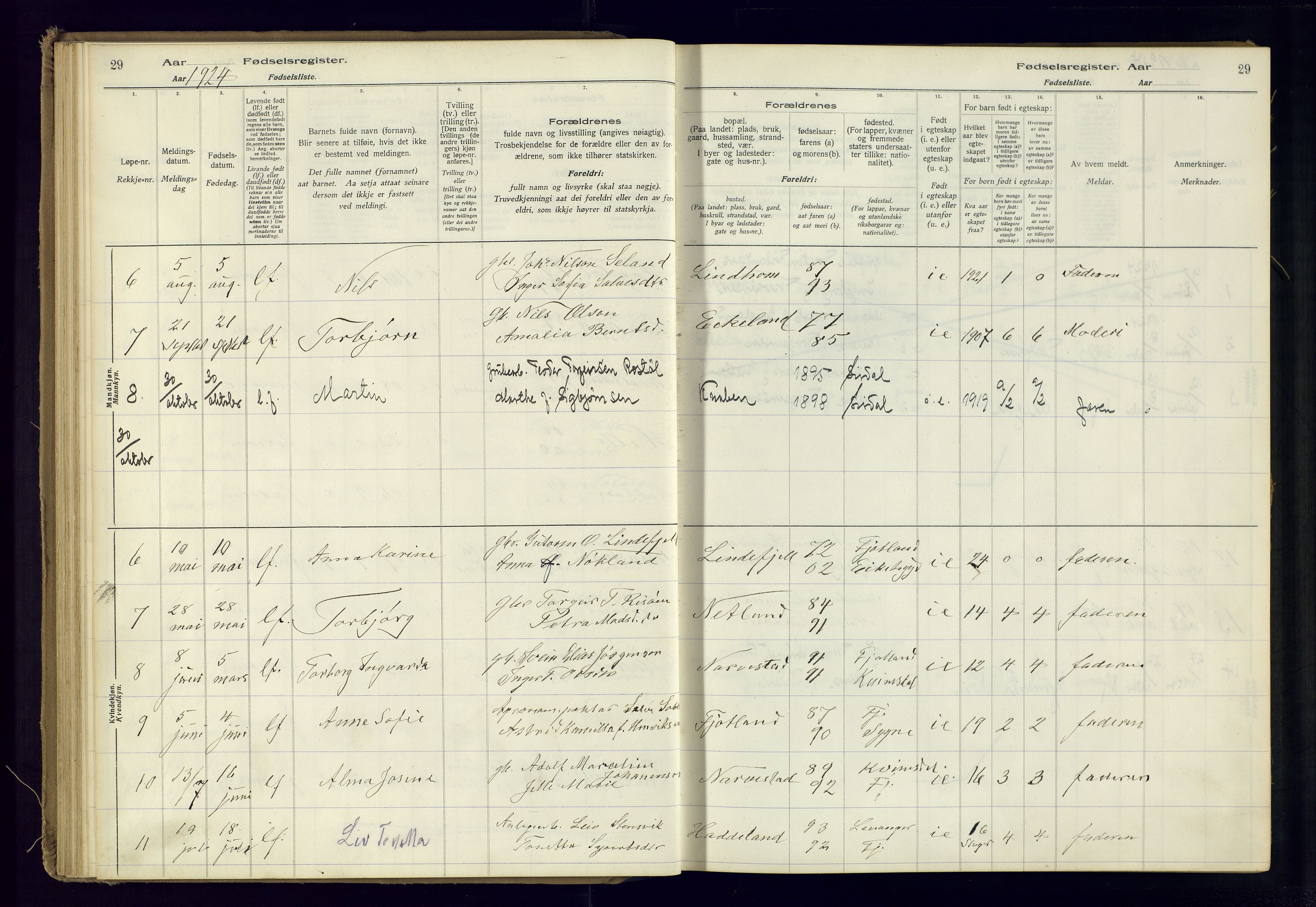 Fjotland sokneprestkontor, AV/SAK-1111-0010/J/Ja/L0001: Birth register no. 1, 1916-1981, p. 29