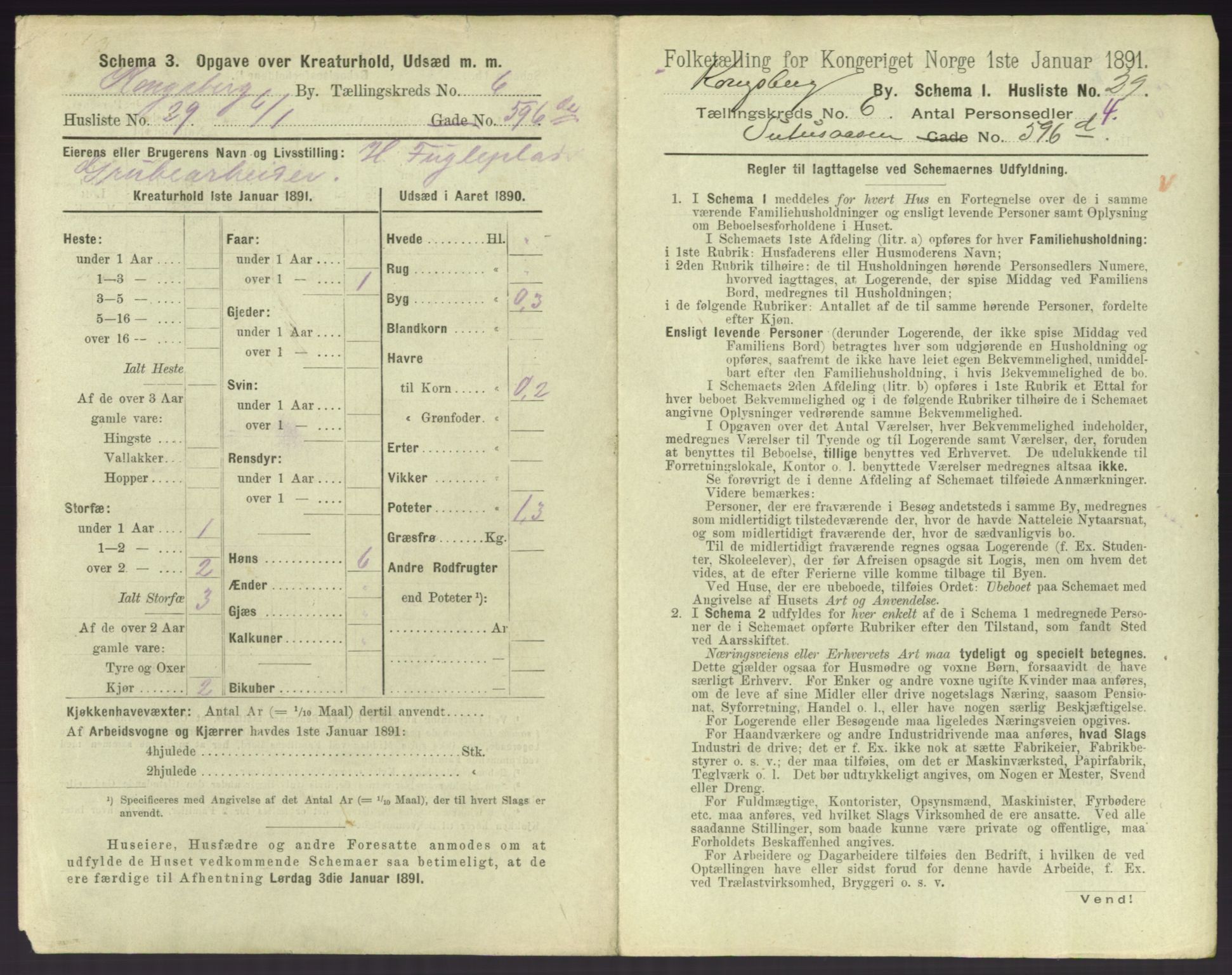 RA, 1891 census for 0604 Kongsberg, 1891, p. 985