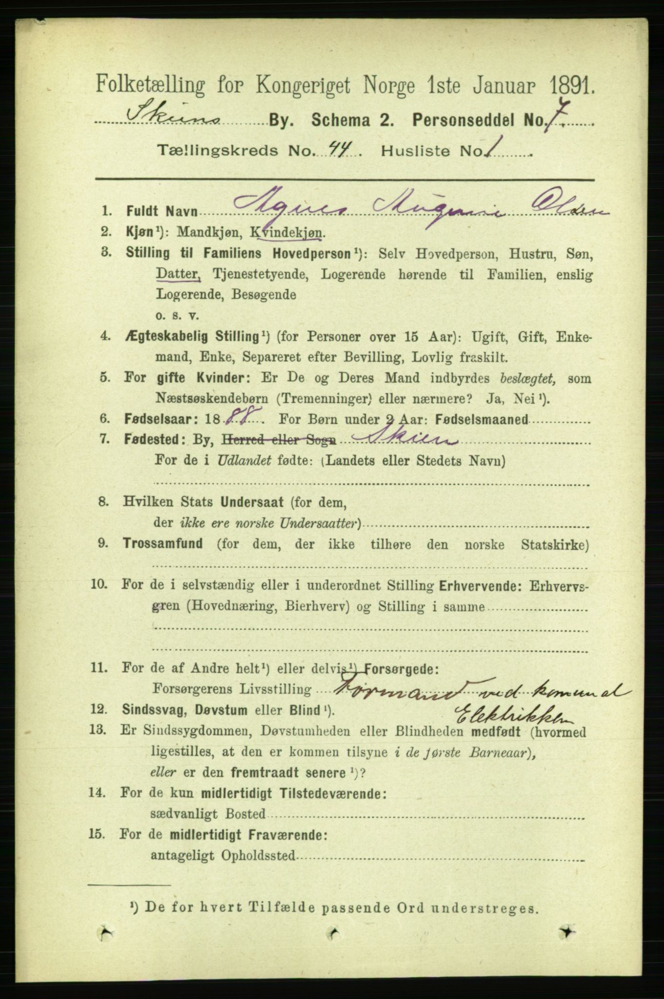 RA, 1891 census for 0806 Skien, 1891, p. 8775