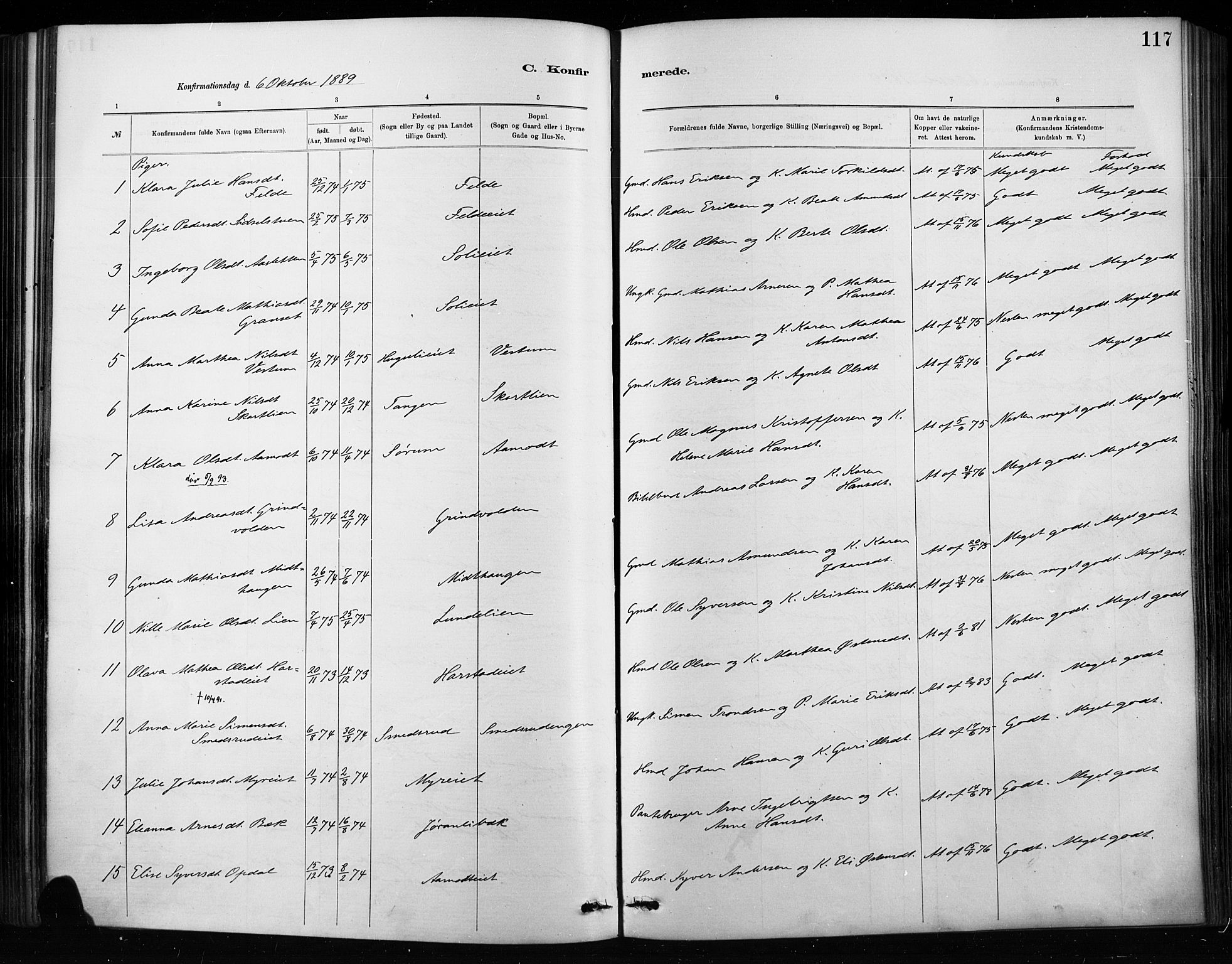 Nordre Land prestekontor, SAH/PREST-124/H/Ha/Haa/L0004: Parish register (official) no. 4, 1882-1896, p. 117