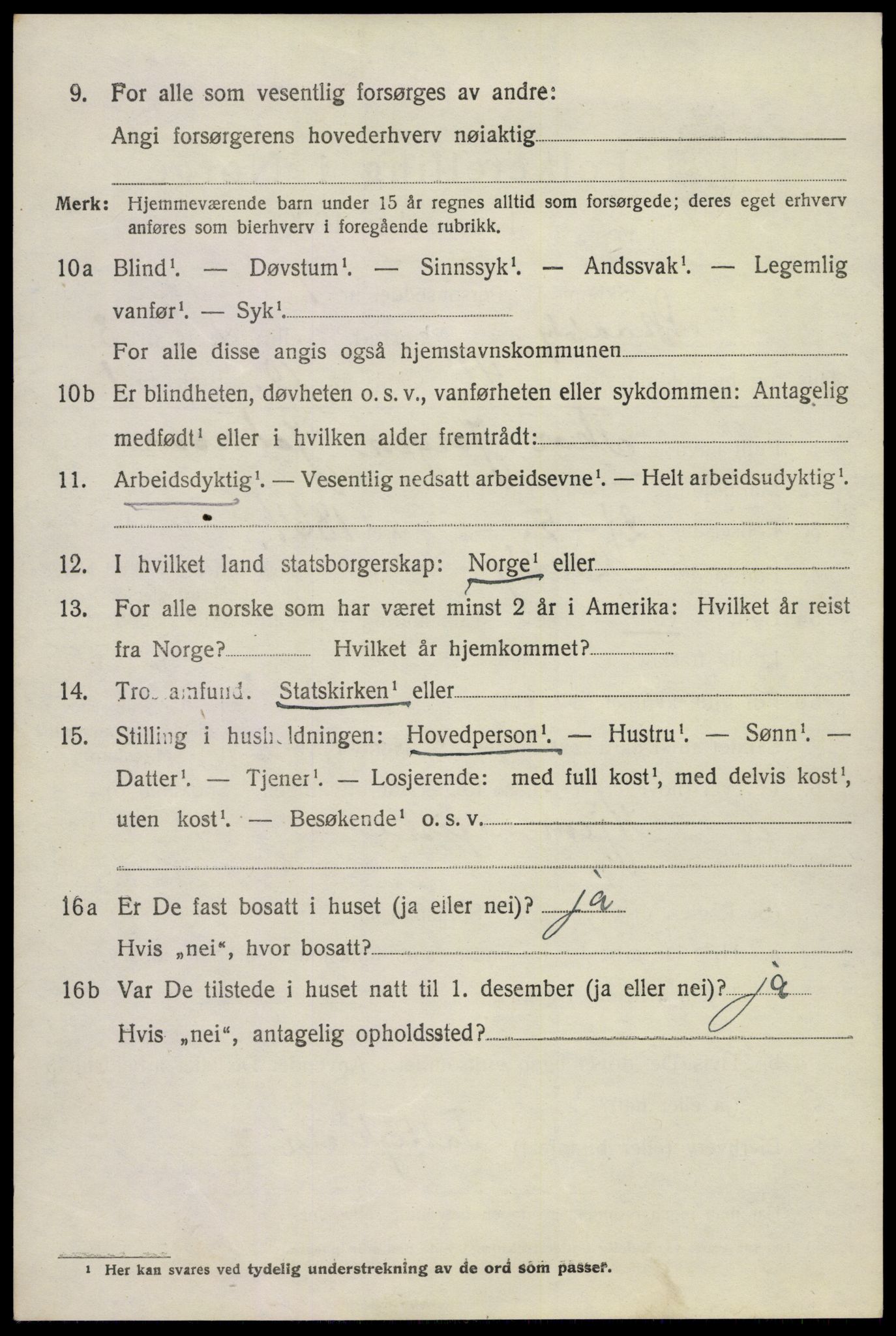 SAKO, 1920 census for Skåtøy, 1920, p. 3119