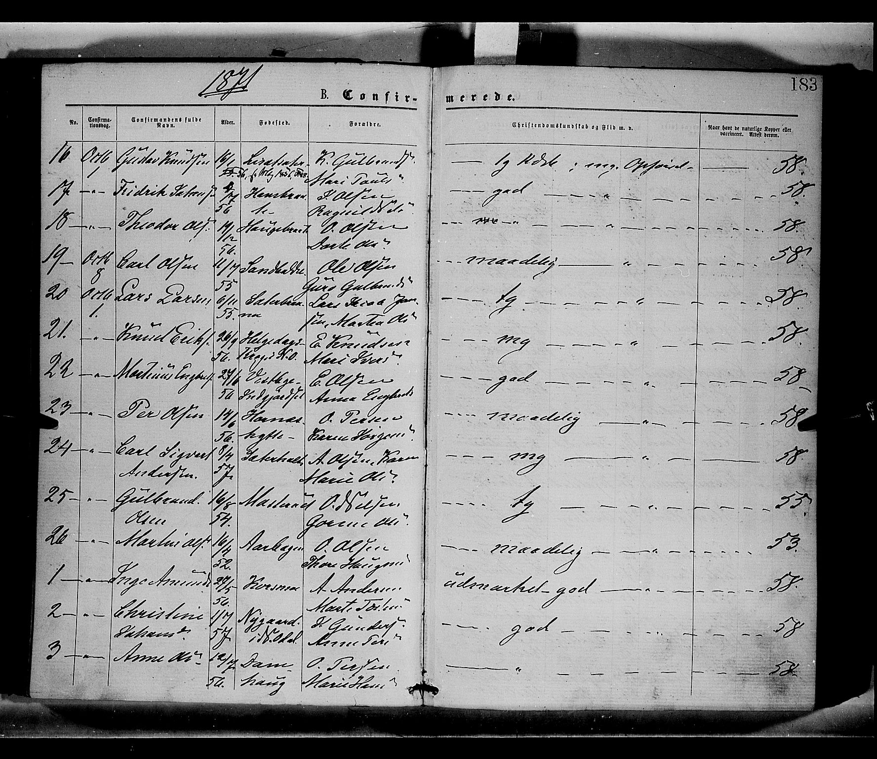 Sør-Odal prestekontor, AV/SAH-PREST-030/H/Ha/Haa/L0004: Parish register (official) no. 4, 1870-1875, p. 183