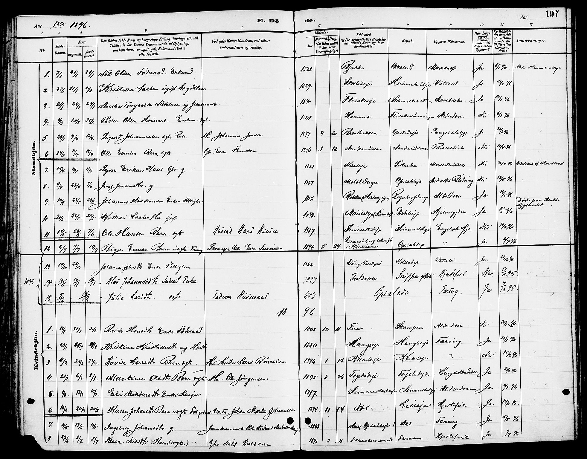 Ringsaker prestekontor, SAH/PREST-014/L/La/L0014: Parish register (copy) no. 14, 1891-1904, p. 197