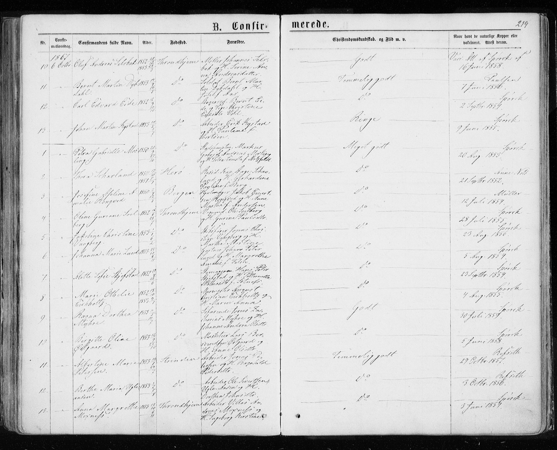 Ministerialprotokoller, klokkerbøker og fødselsregistre - Sør-Trøndelag, AV/SAT-A-1456/601/L0054: Parish register (official) no. 601A22, 1866-1877, p. 219