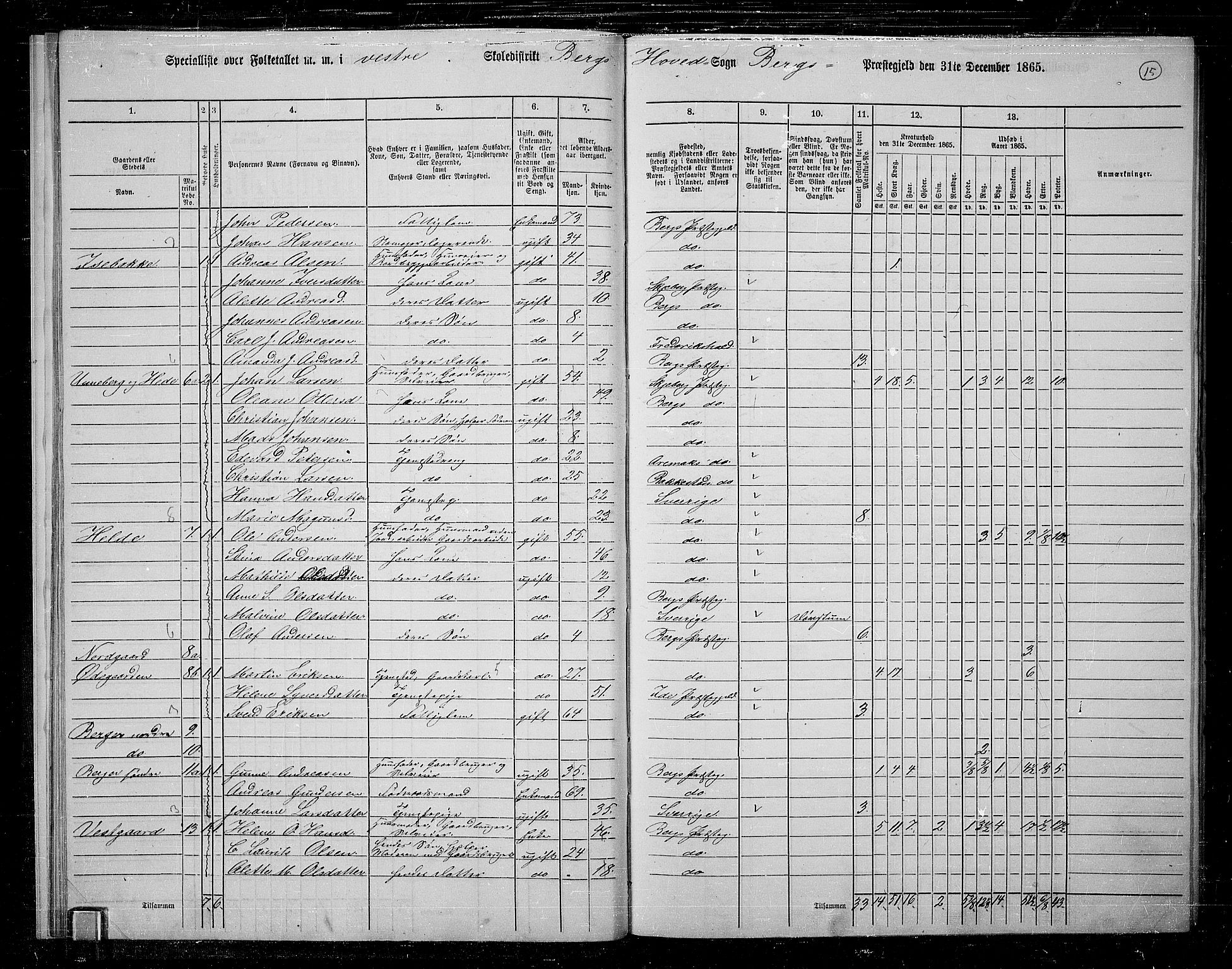 RA, 1865 census for Berg, 1865, p. 15