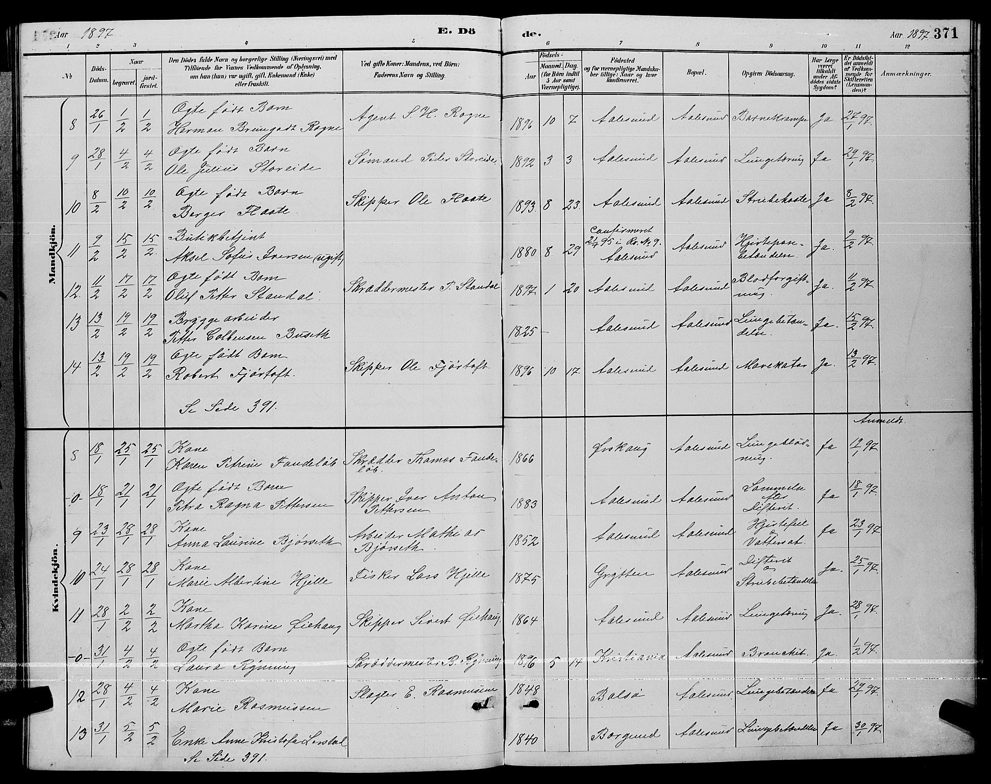 Ministerialprotokoller, klokkerbøker og fødselsregistre - Møre og Romsdal, AV/SAT-A-1454/529/L0467: Parish register (copy) no. 529C04, 1889-1897, p. 371