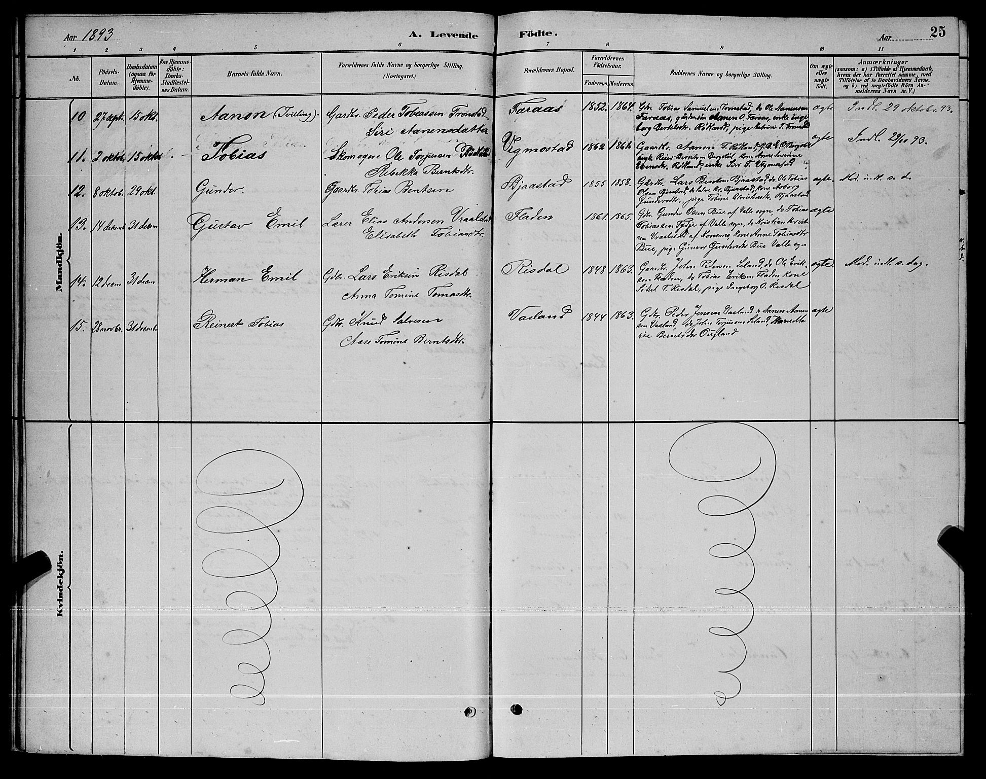 Nord-Audnedal sokneprestkontor, AV/SAK-1111-0032/F/Fb/Fbb/L0003: Parish register (copy) no. B 3, 1882-1900, p. 25