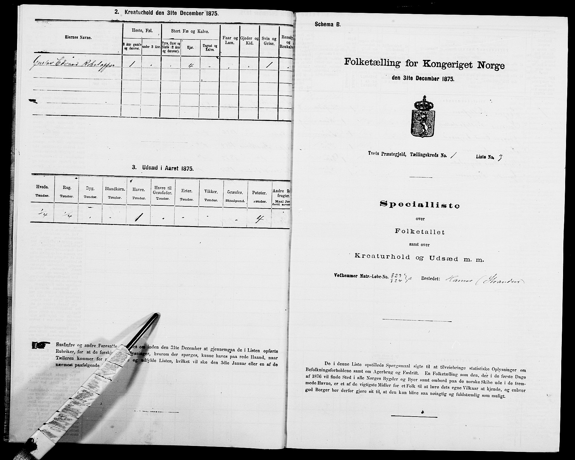 SAK, 1875 census for 1013P Tveit, 1875, p. 61