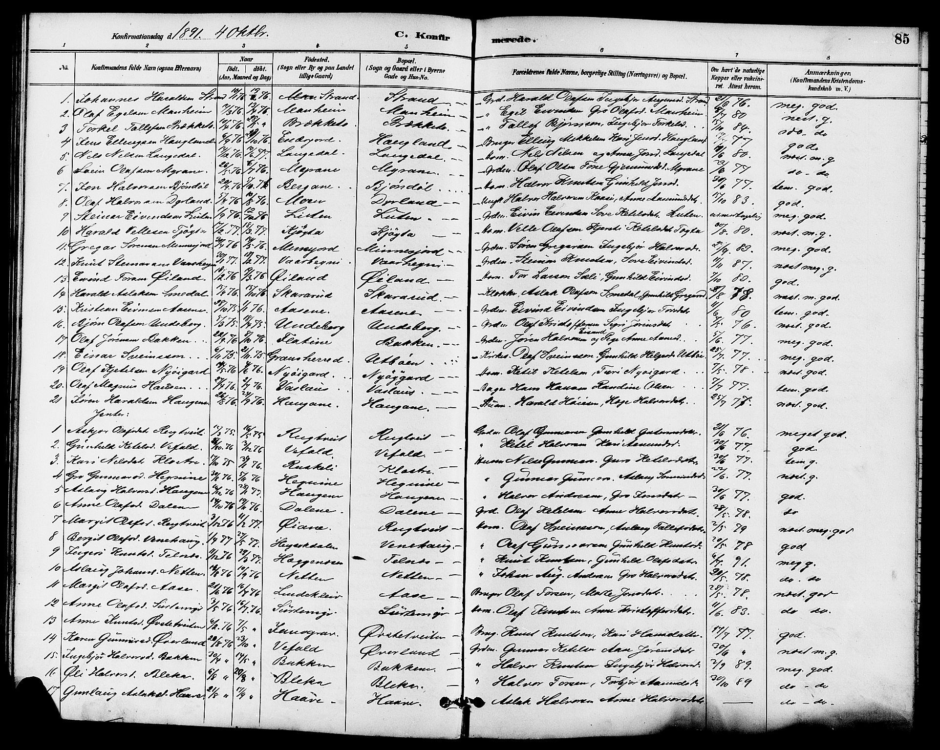 Seljord kirkebøker, SAKO/A-20/G/Ga/L0005: Parish register (copy) no. I 5, 1887-1914, p. 85