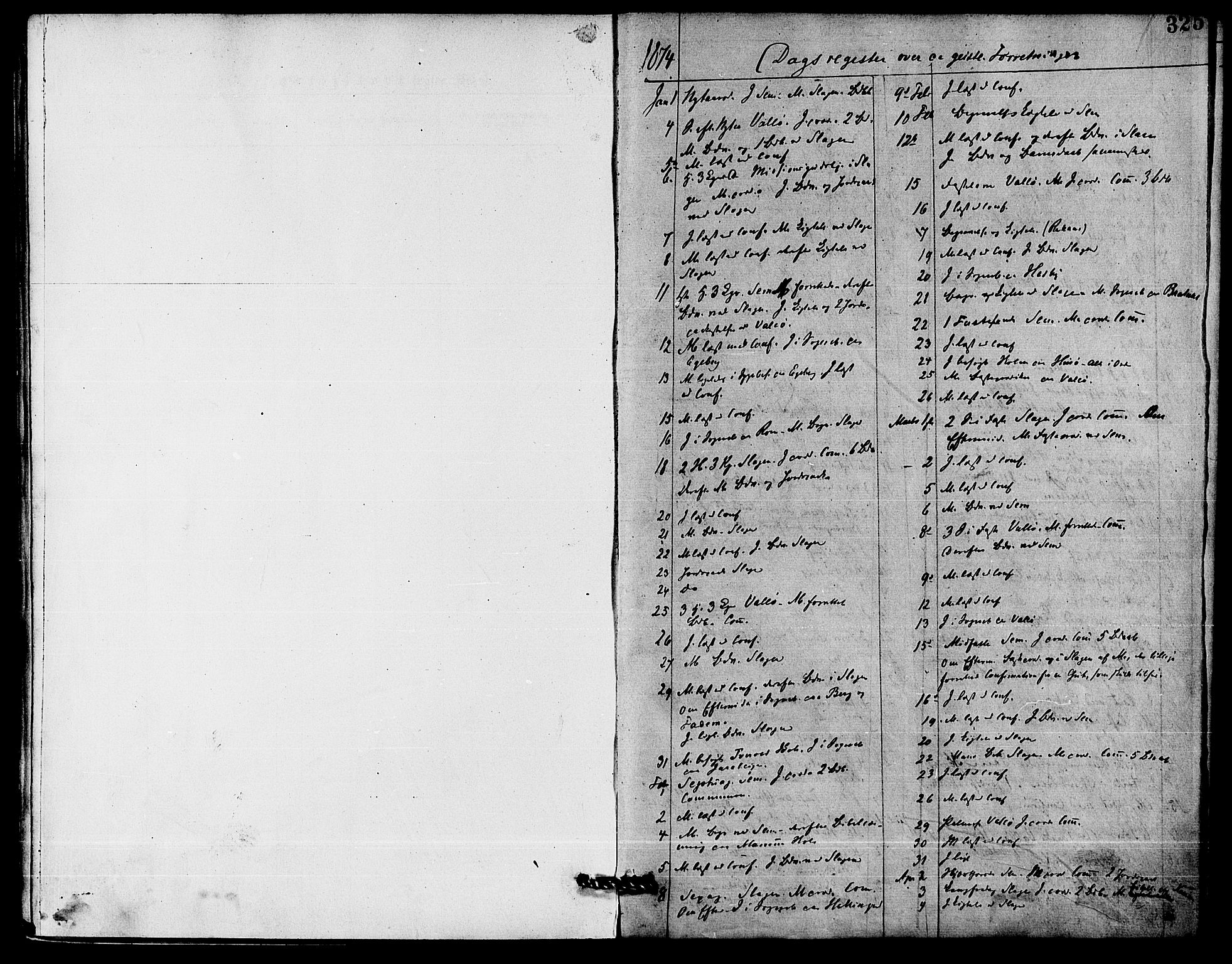 Sem kirkebøker, AV/SAKO-A-5/F/Fa/L0009: Parish register (official) no. I 9, 1874-1877, p. 325