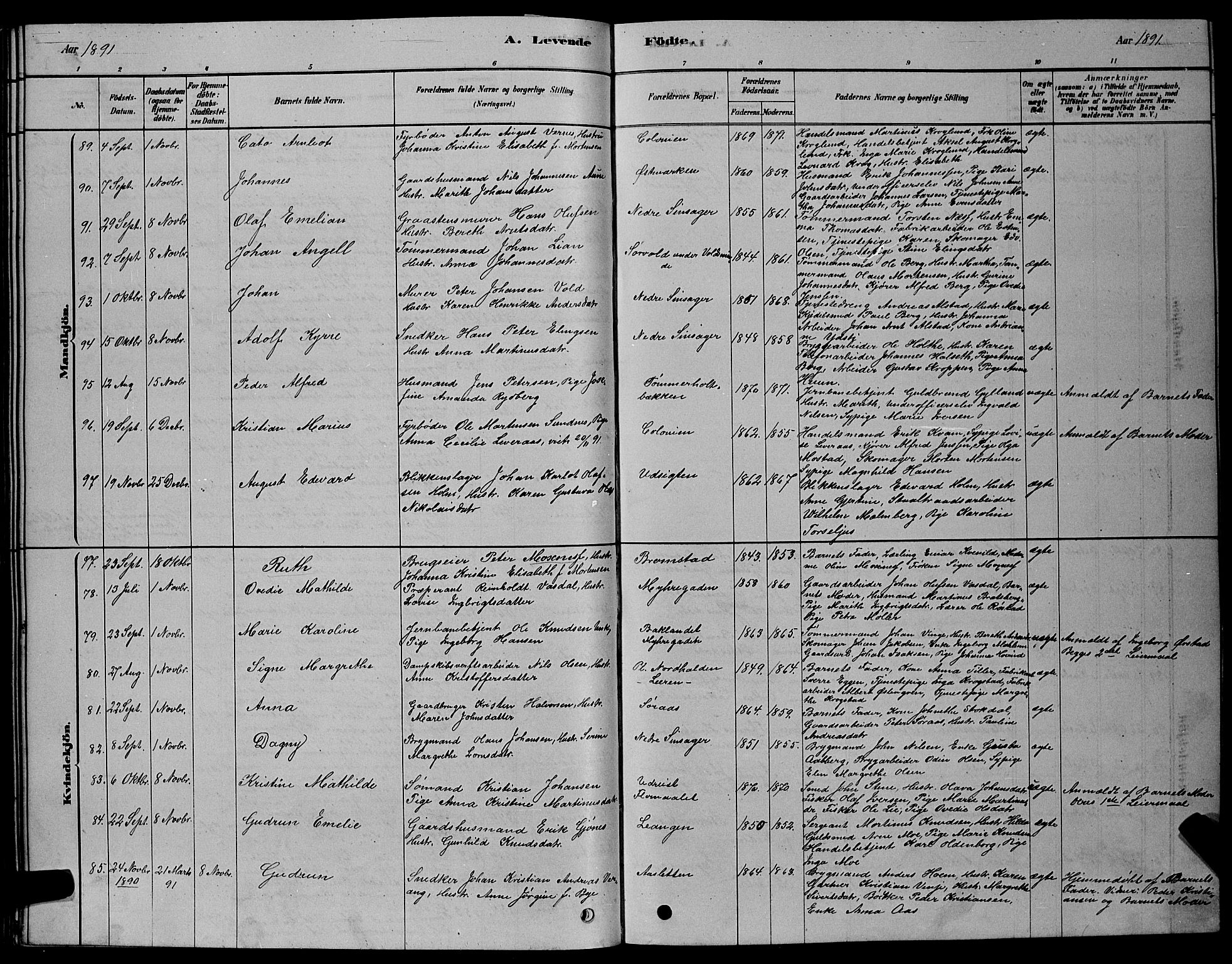 Ministerialprotokoller, klokkerbøker og fødselsregistre - Sør-Trøndelag, AV/SAT-A-1456/606/L0312: Parish register (copy) no. 606C08, 1878-1894