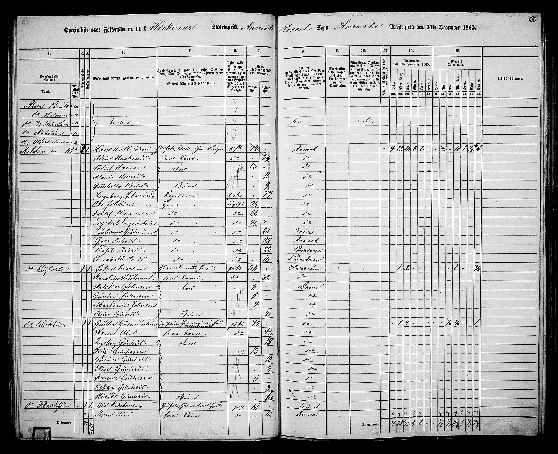 RA, 1865 census for Åmot, 1865, p. 55