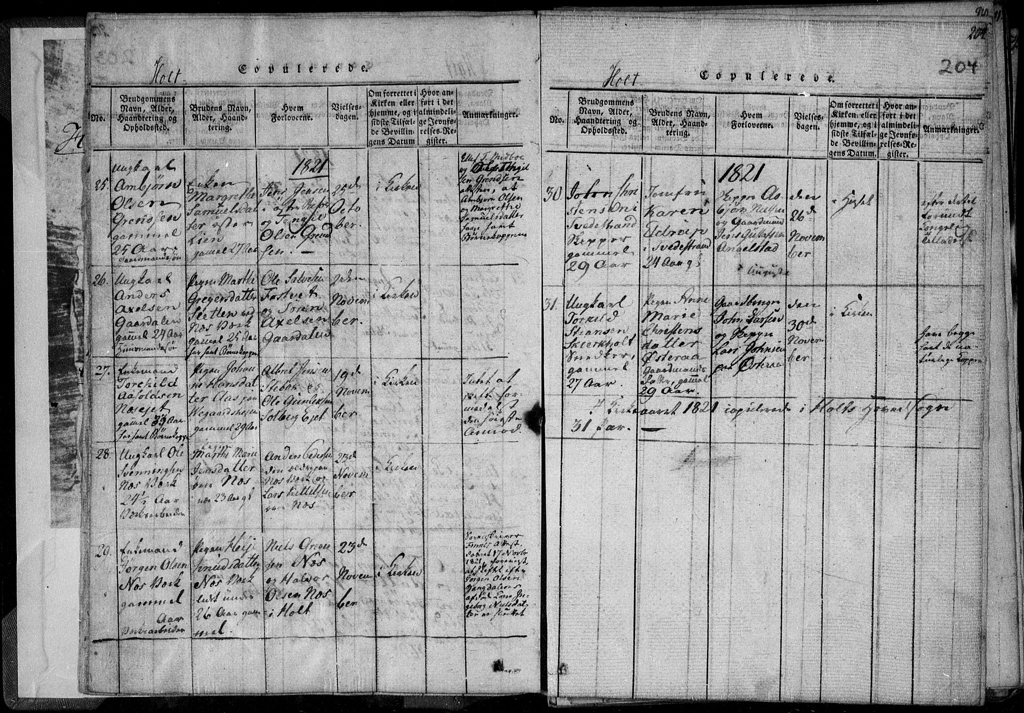 Holt sokneprestkontor, AV/SAK-1111-0021/F/Fa/L0005: Parish register (official) no. A 5, 1813-1821, p. 204