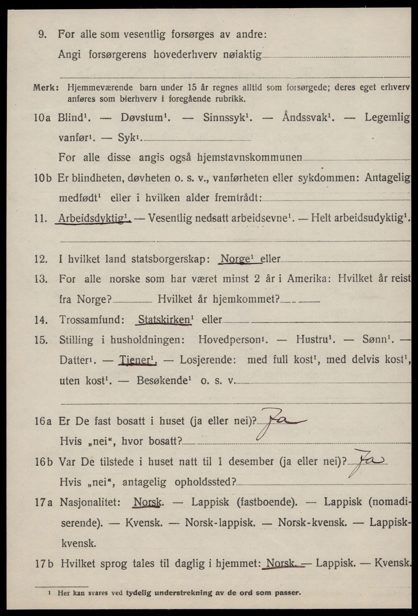 SAT, 1920 census for Nes (ST), 1920, p. 2876