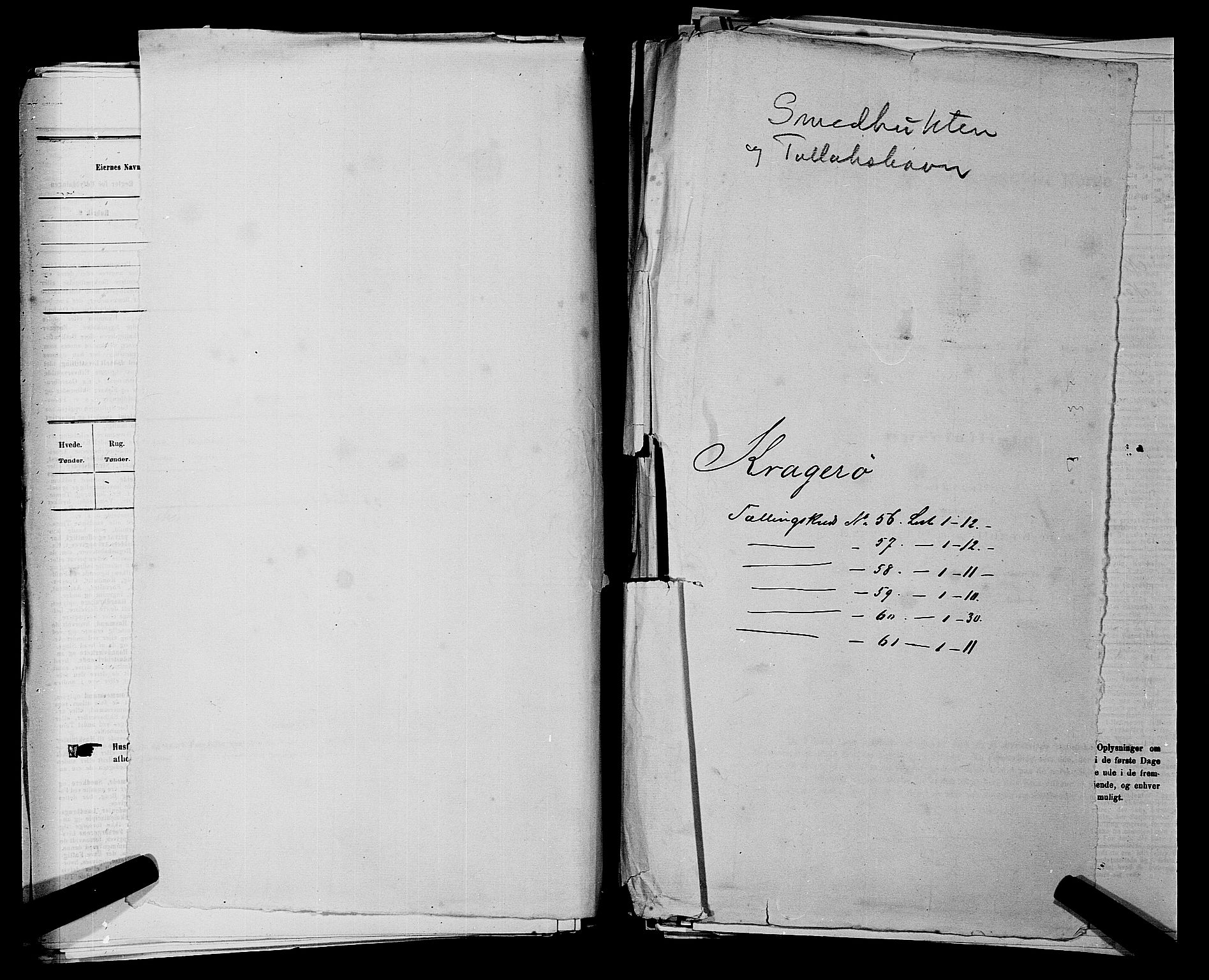 SAKO, 1875 census for 0801P Kragerø, 1875, p. 1236