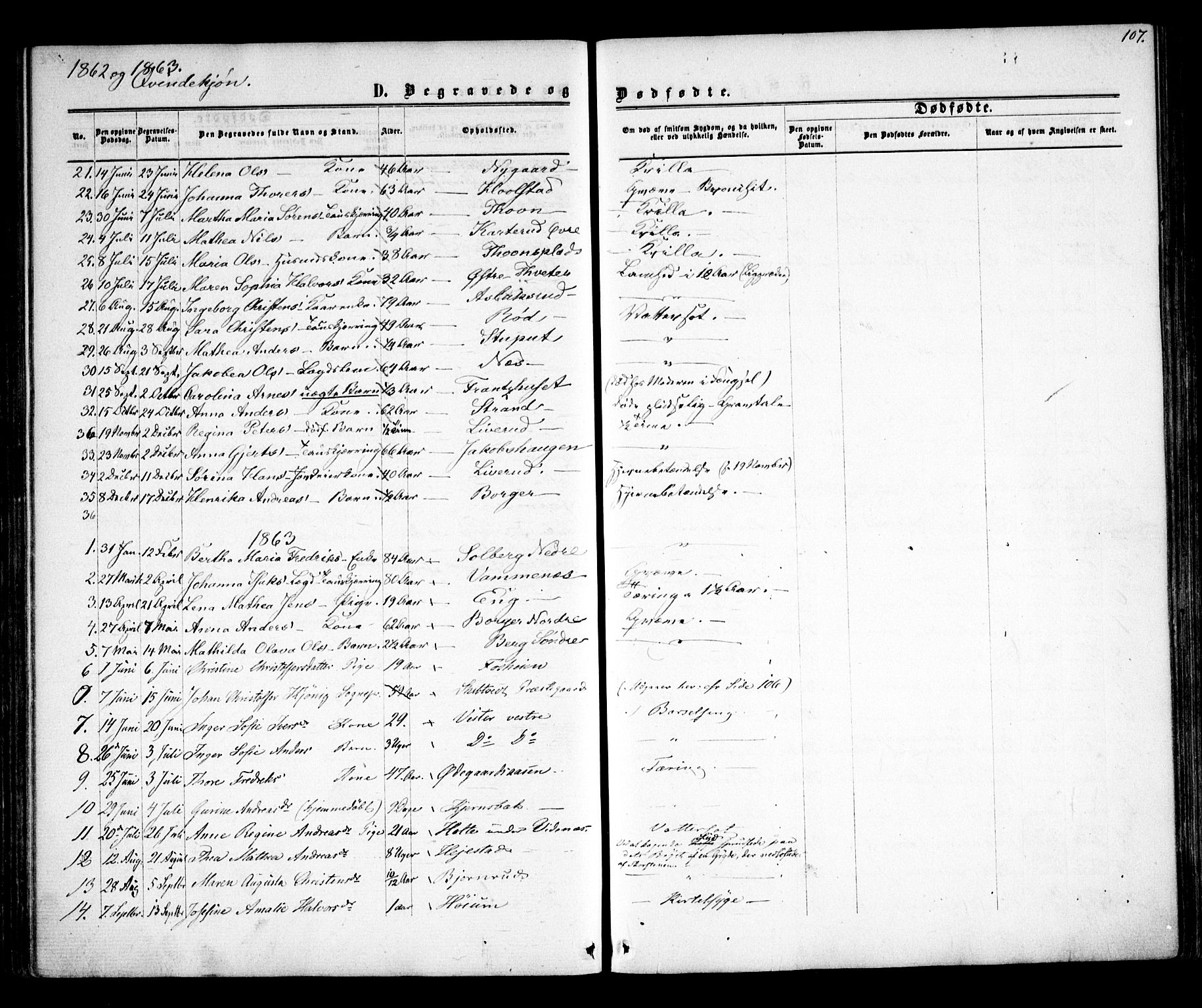 Skiptvet prestekontor Kirkebøker, SAO/A-20009/F/Fa/L0007: Parish register (official) no. 7, 1861-1866, p. 107