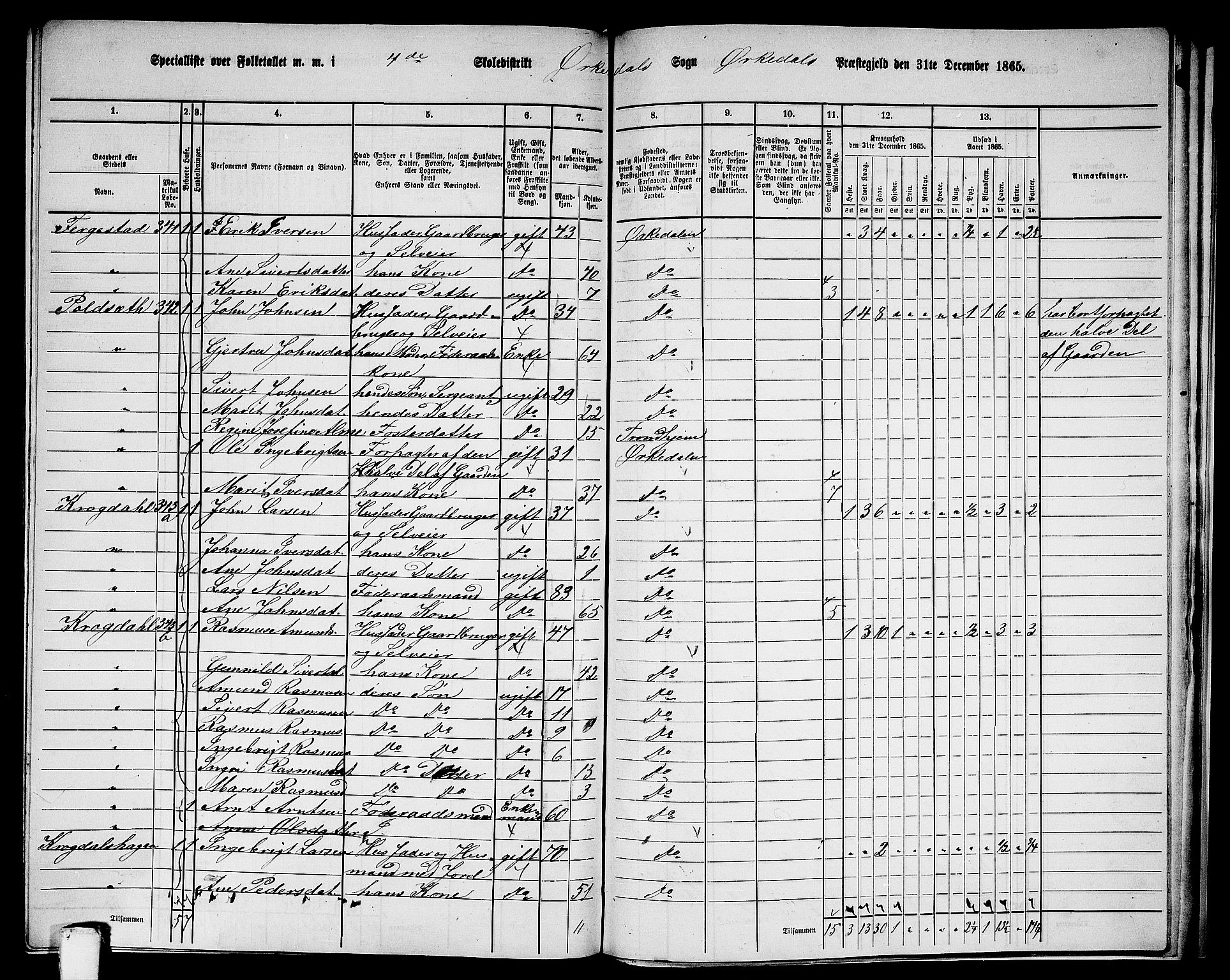 RA, 1865 census for Orkdal, 1865, p. 249