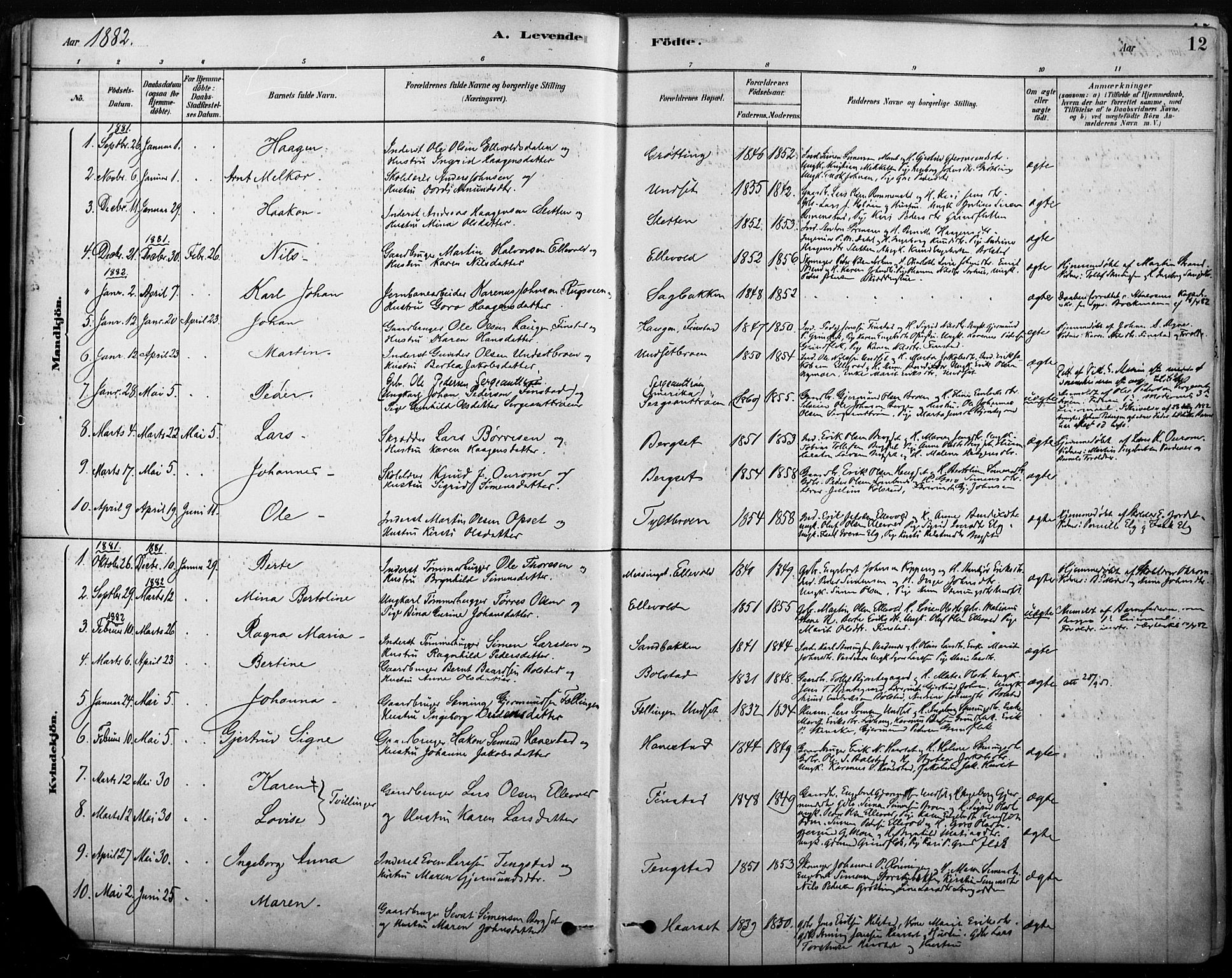Rendalen prestekontor, SAH/PREST-054/H/Ha/Haa/L0009: Parish register (official) no. 9, 1878-1901, p. 12