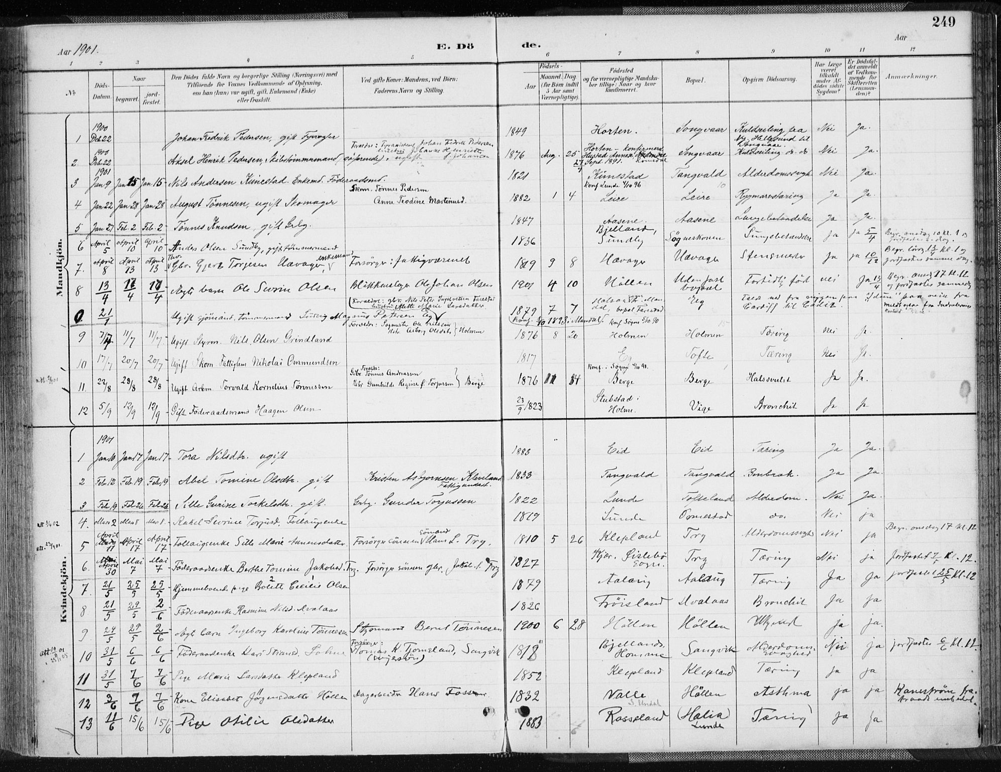 Søgne sokneprestkontor, SAK/1111-0037/F/Fa/Fab/L0013: Parish register (official) no. A 13, 1892-1911, p. 249