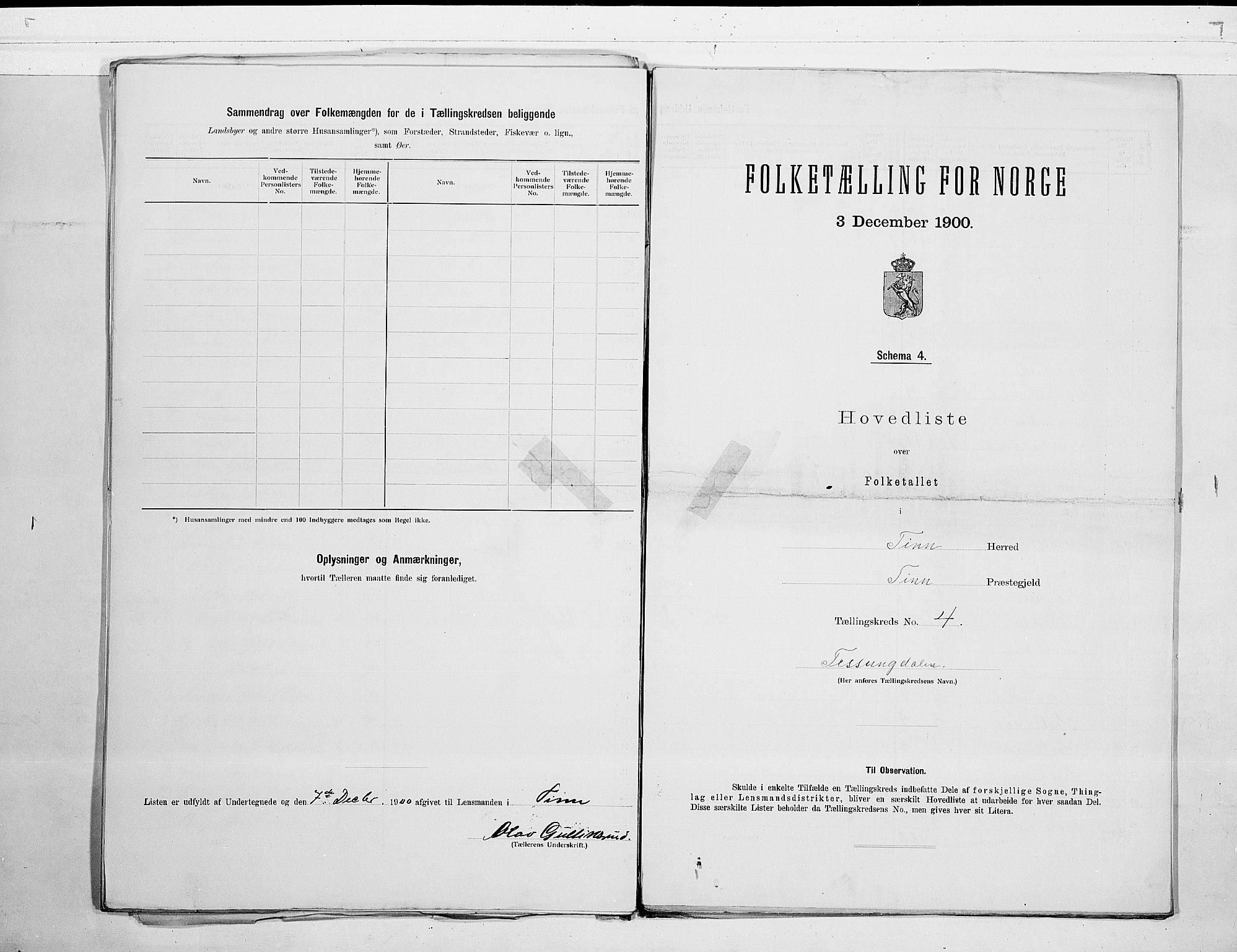 SAKO, 1900 census for Tinn, 1900, p. 10