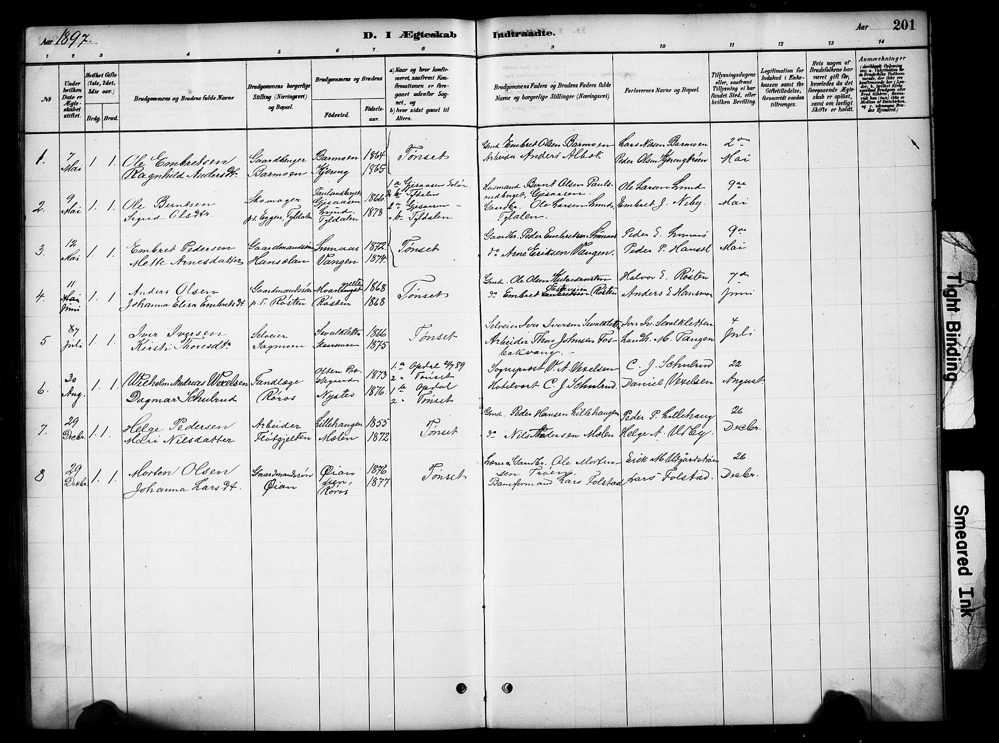 Tynset prestekontor, SAH/PREST-058/H/Ha/Hab/L0006: Parish register (copy) no. 6, 1880-1899, p. 201