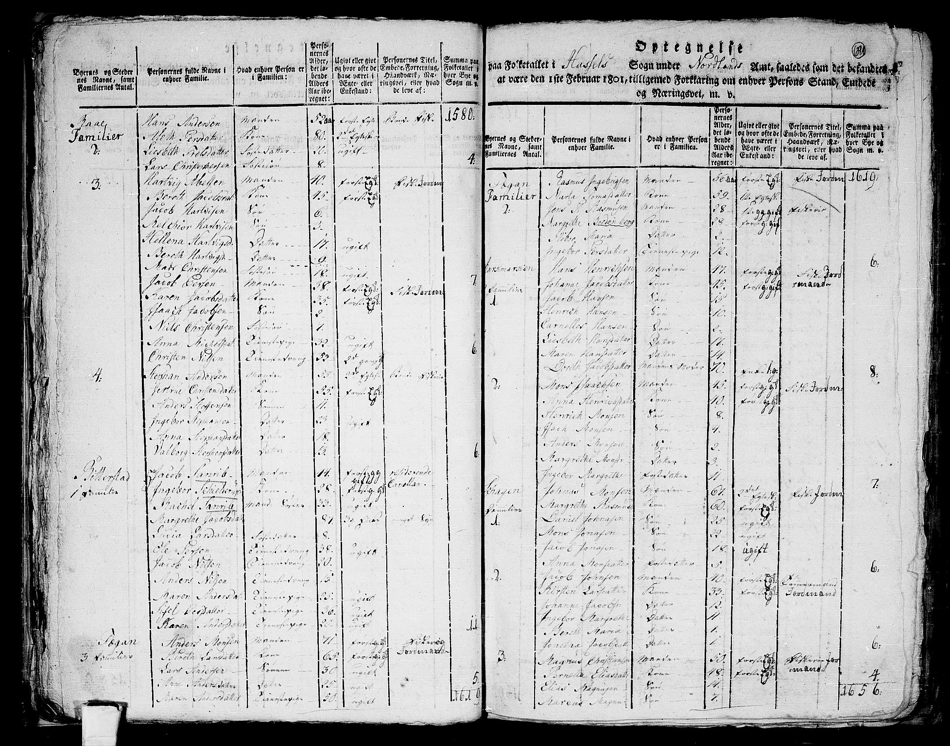 RA, 1801 census for 1866P Hadsel, 1801, p. 690b-691a