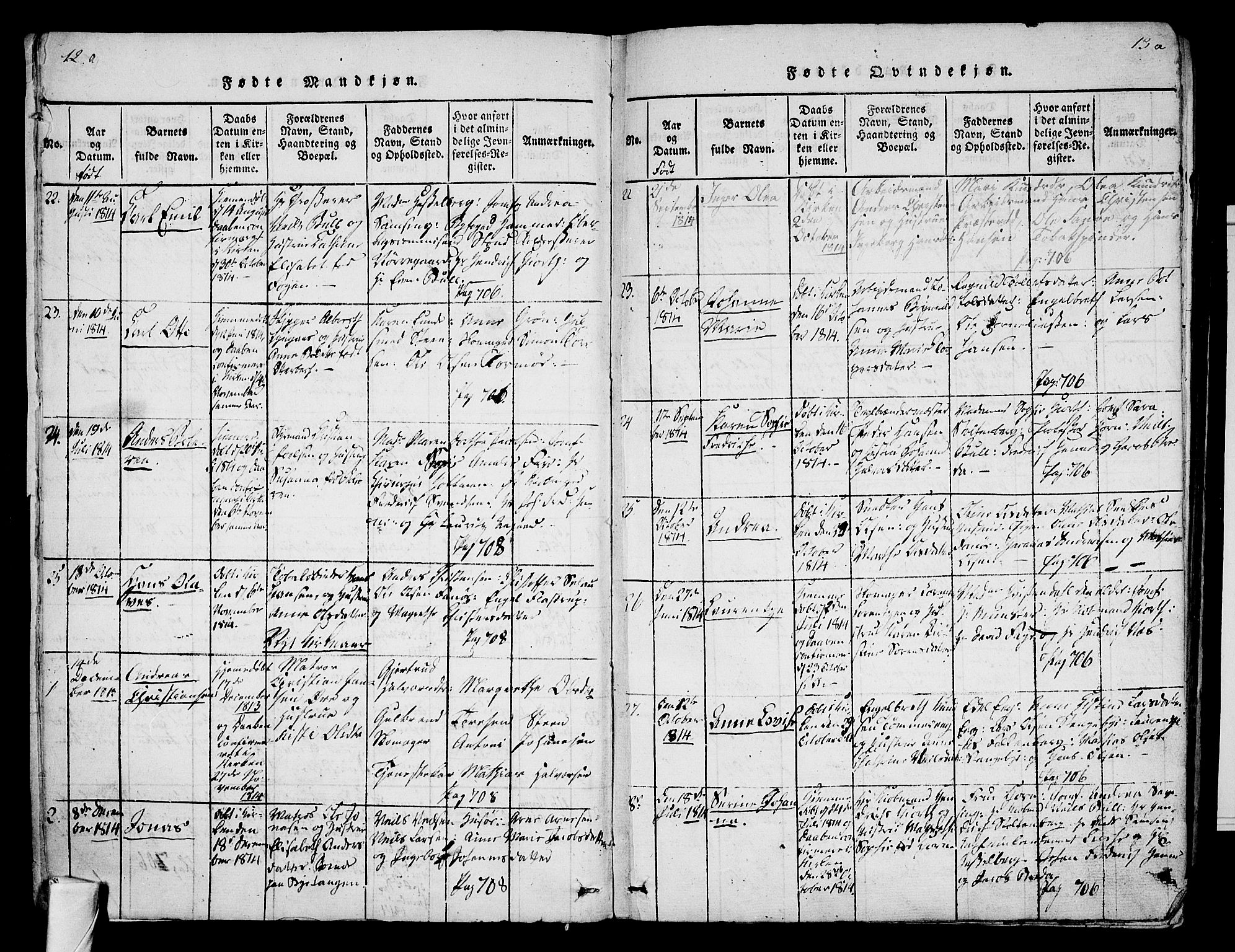 Tønsberg kirkebøker, AV/SAKO-A-330/F/Fa/L0004: Parish register (official) no. I 4, 1813-1826, p. 12-13